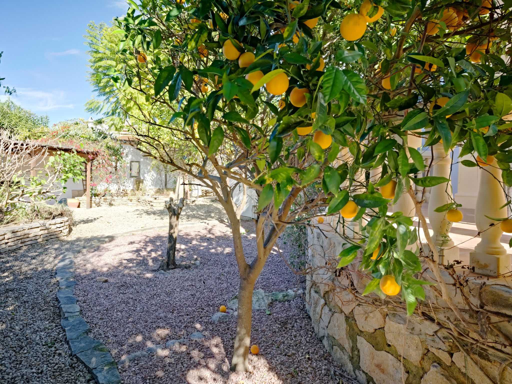 Photo of El Rinco de la Felicidad