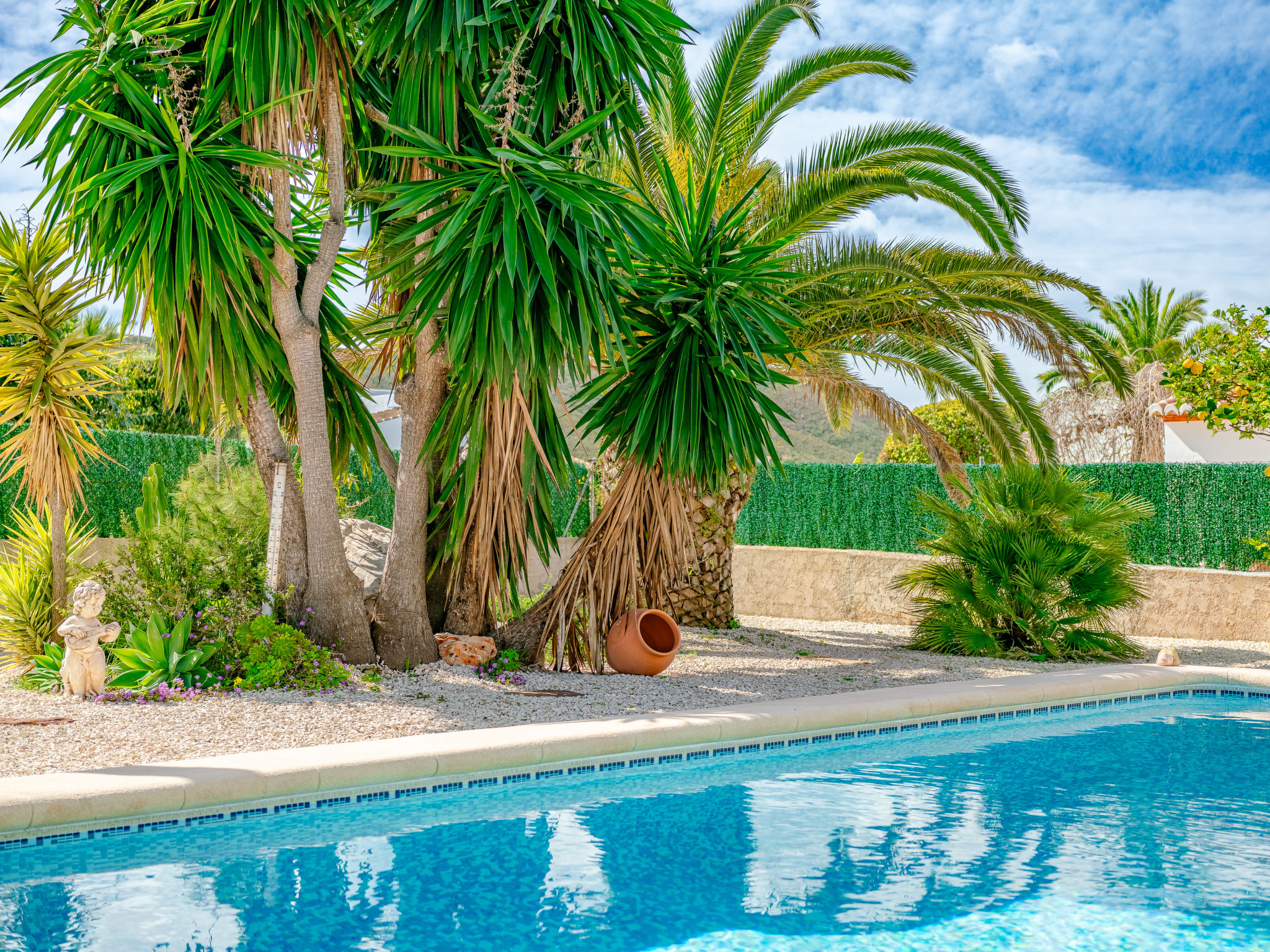 Photo of Aurora Boreal