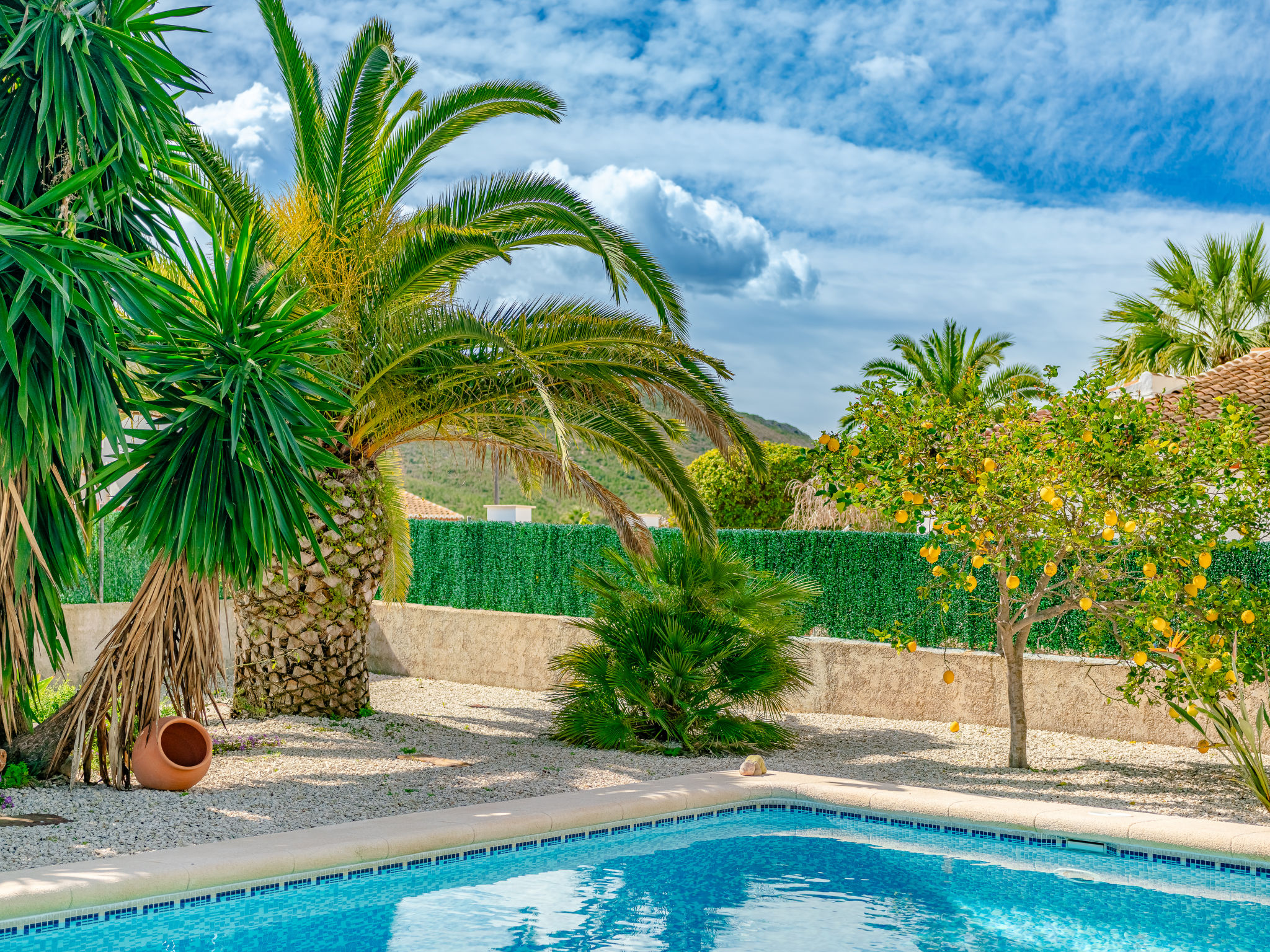 Photo of Aurora Boreal