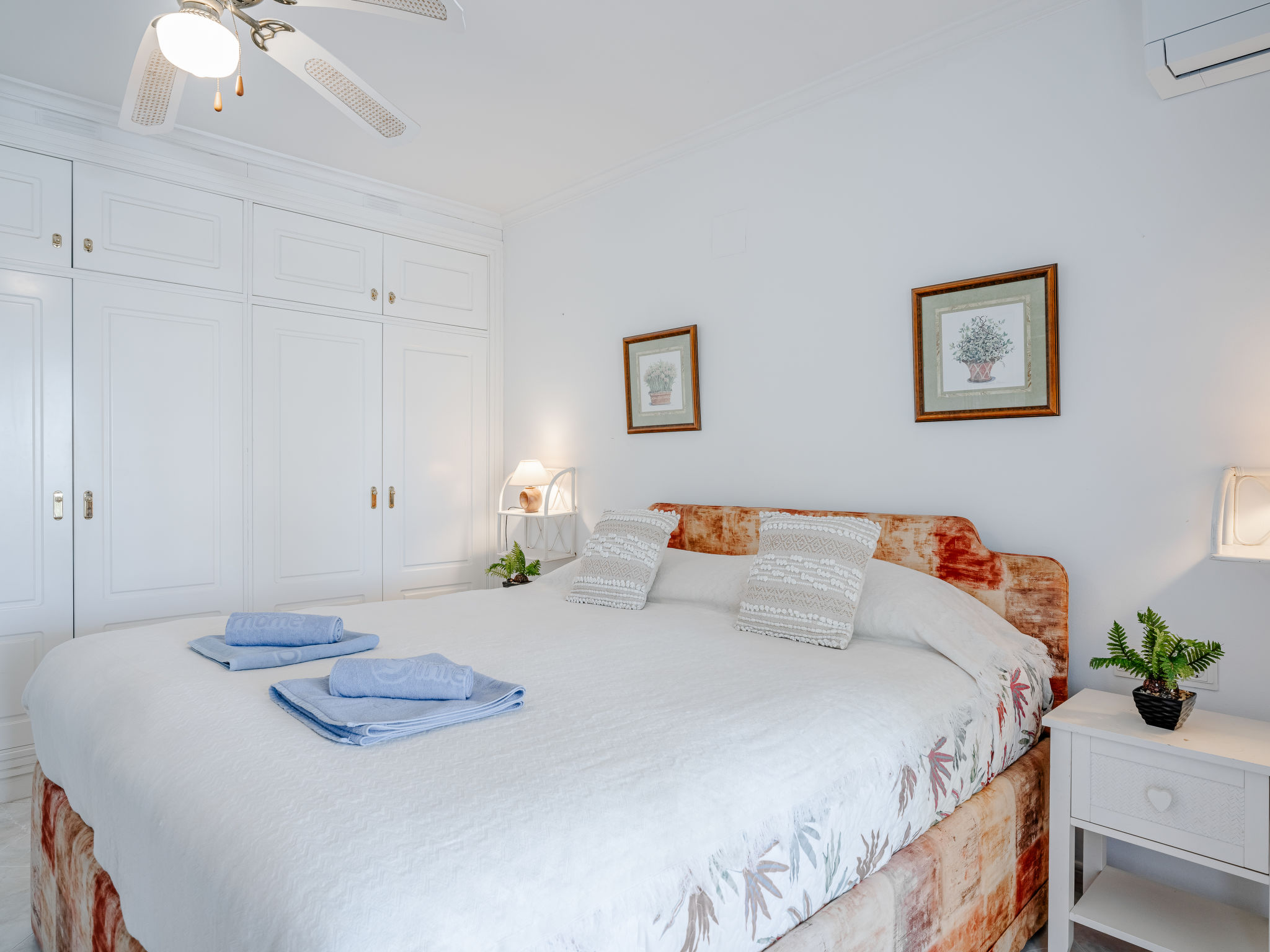 Photo of Aurora Boreal