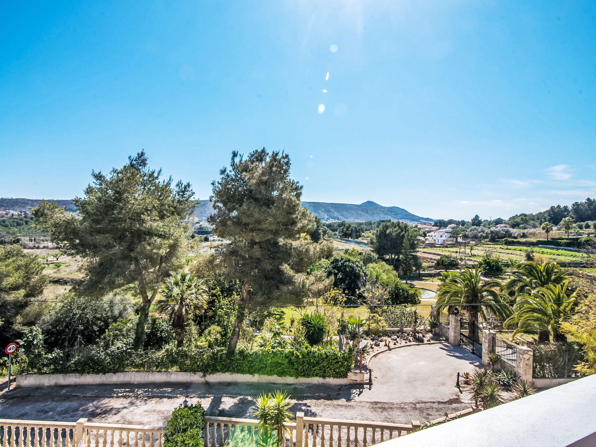 Photo of New Antoinette