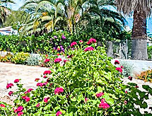 Casa di vacanze Rocinante