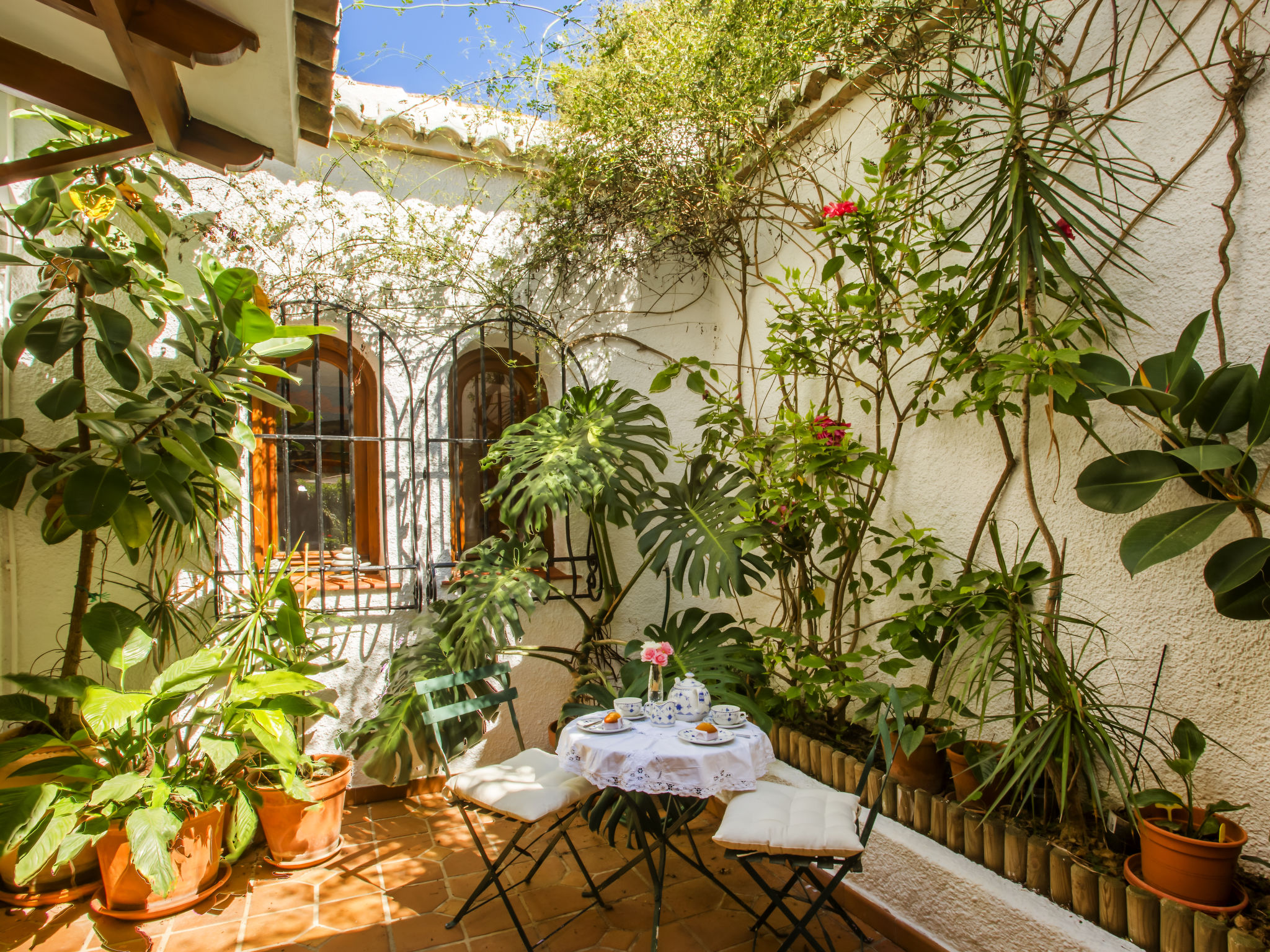 Photo of Mirlo Canta