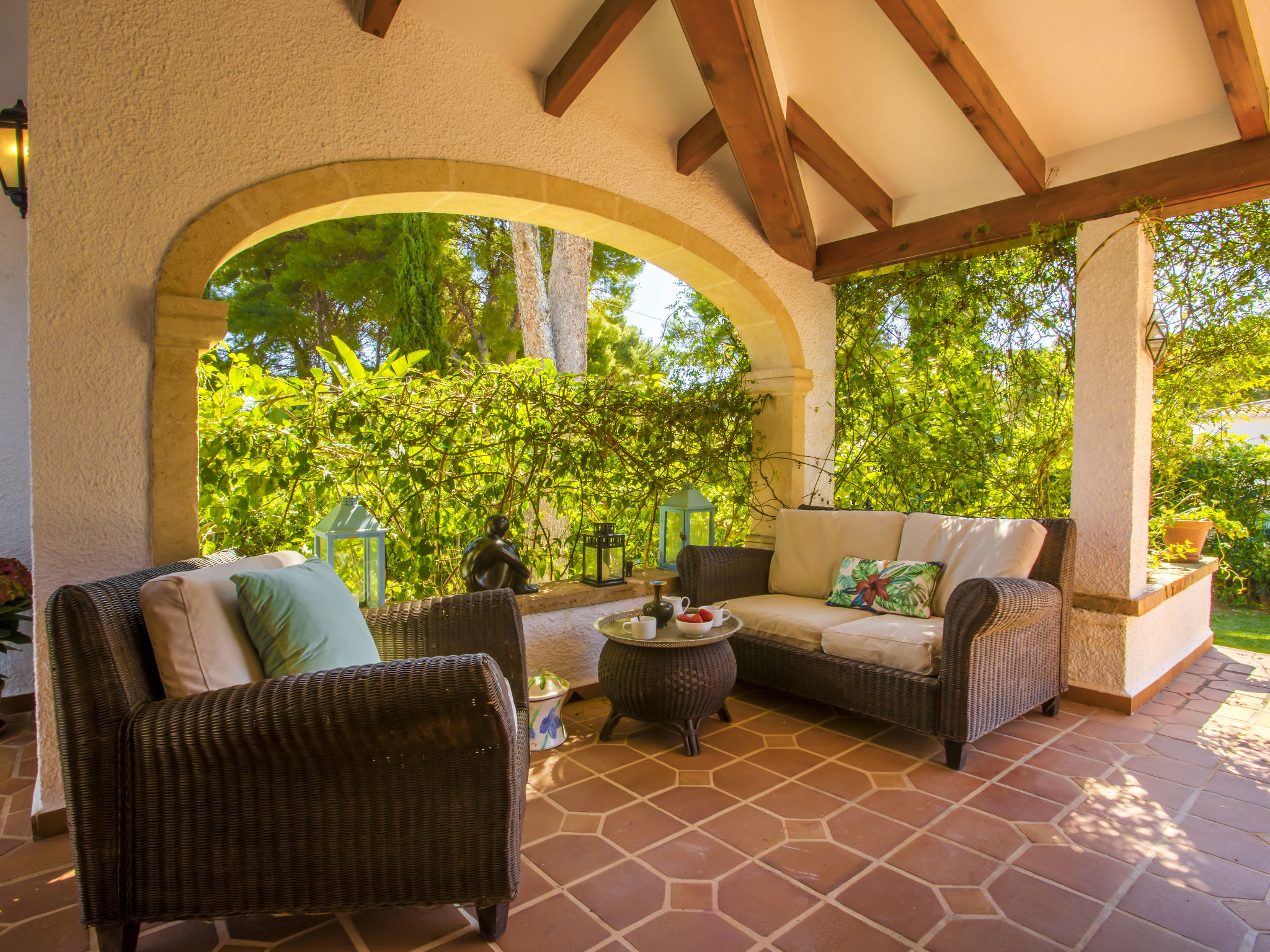 Photo of Mirlo Canta