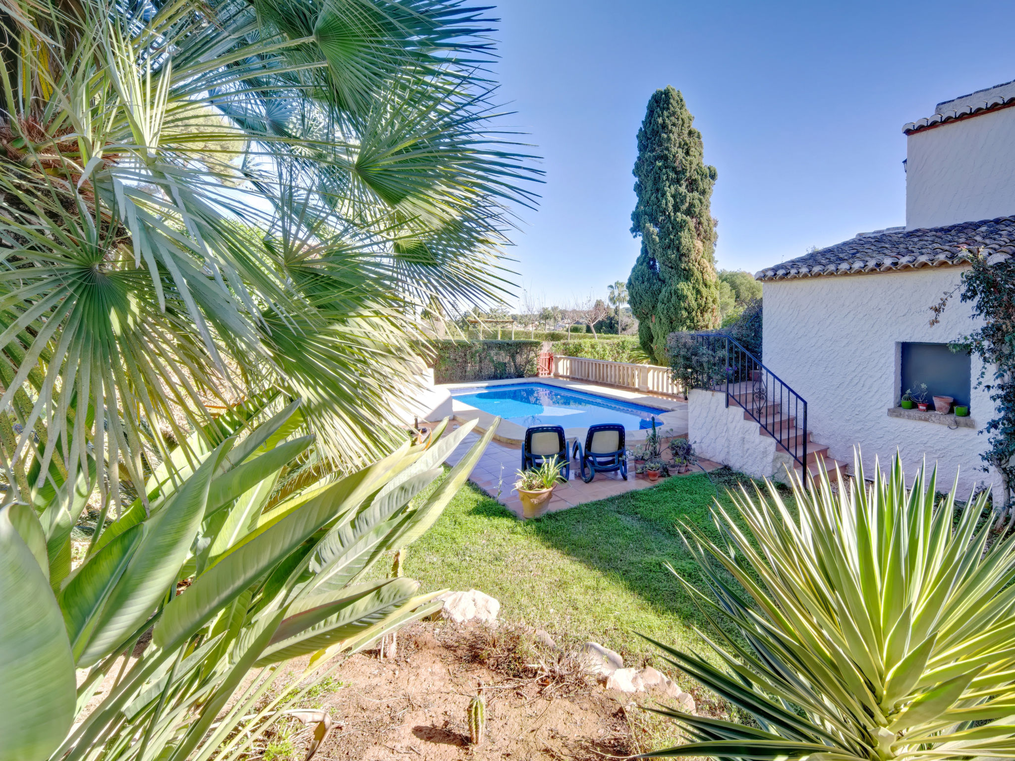 Photo of El Cachirulo