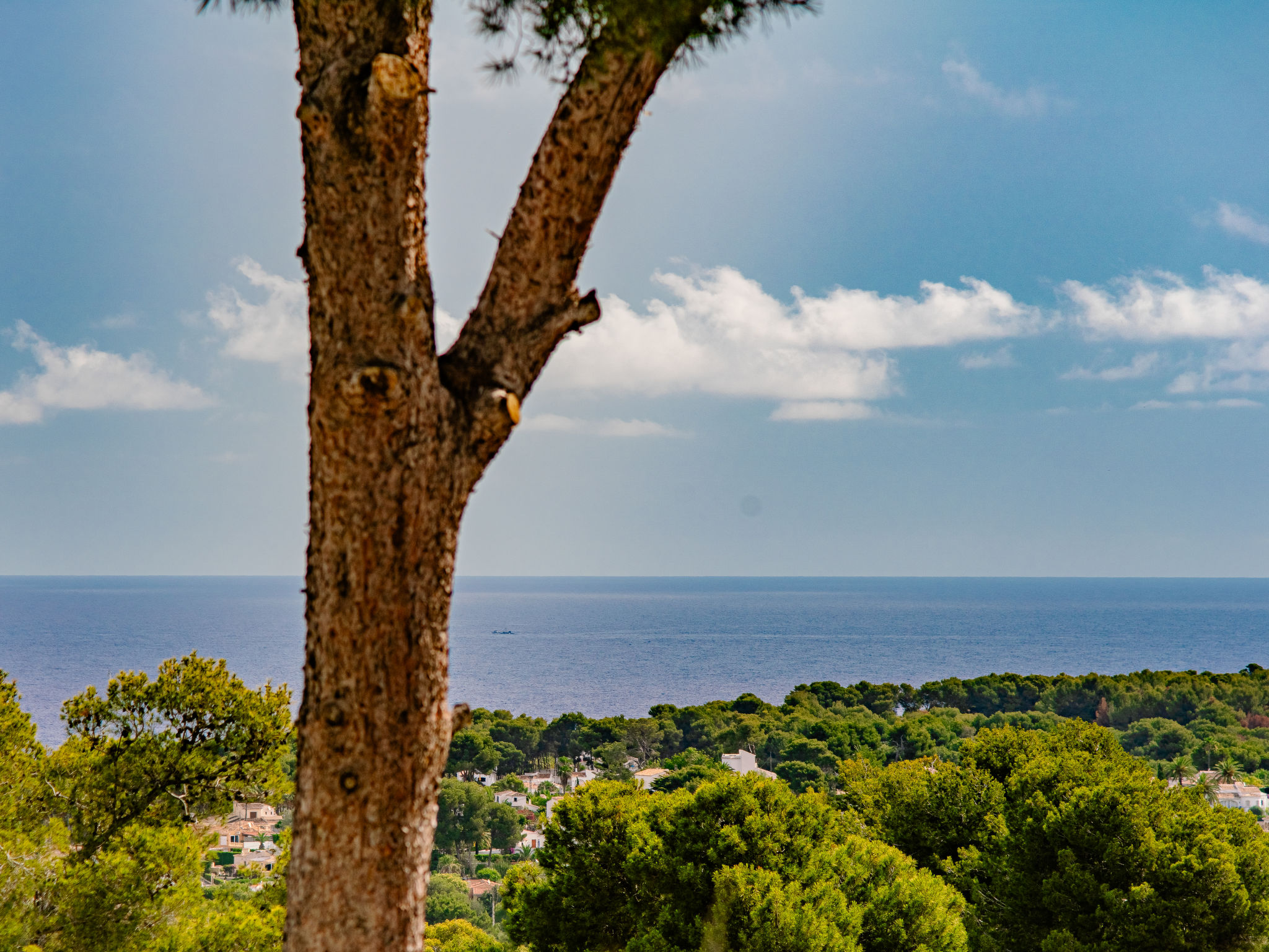 Villa Pomelo Plus-Dehors