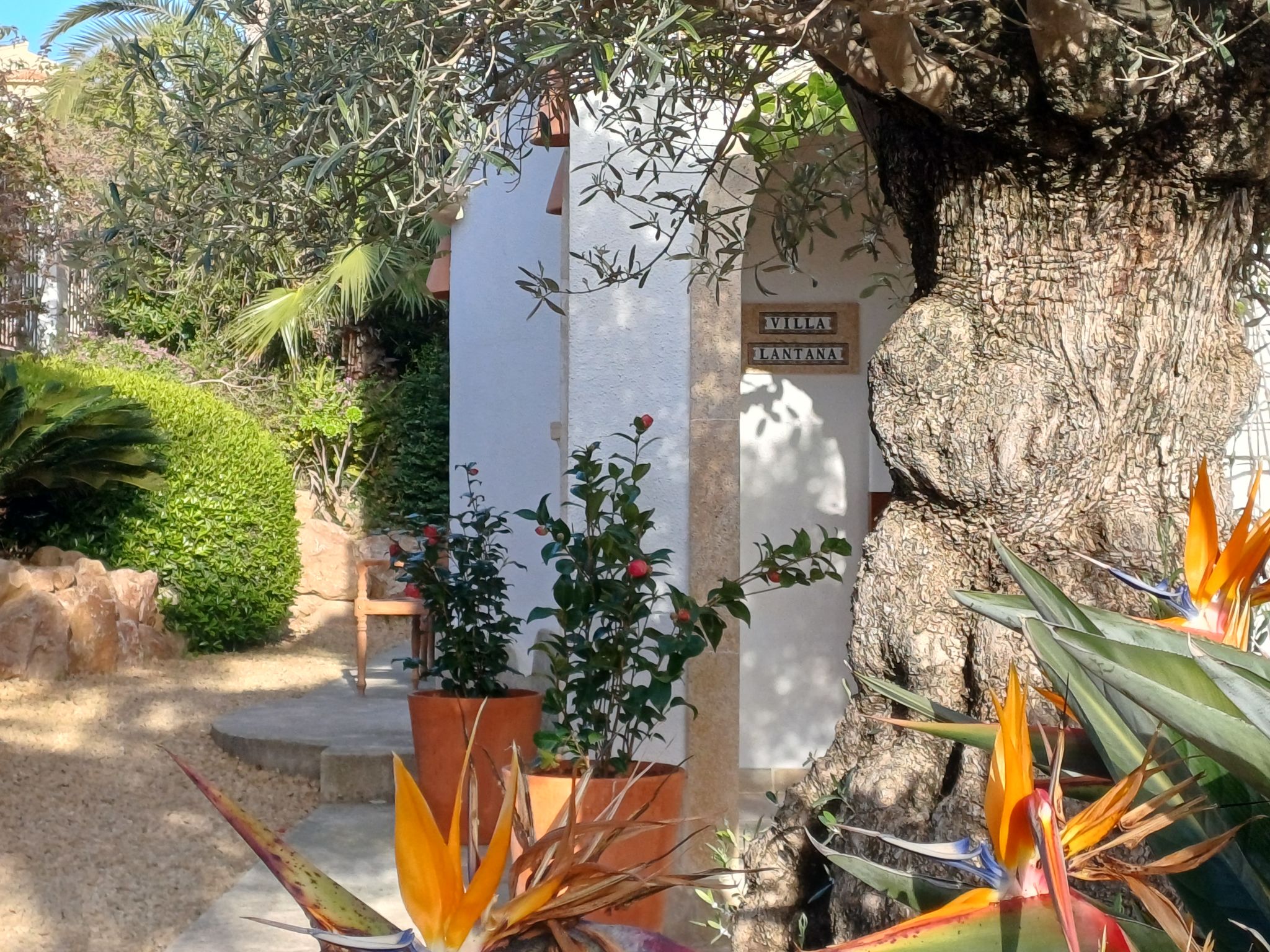 Photo of Villa Lantana