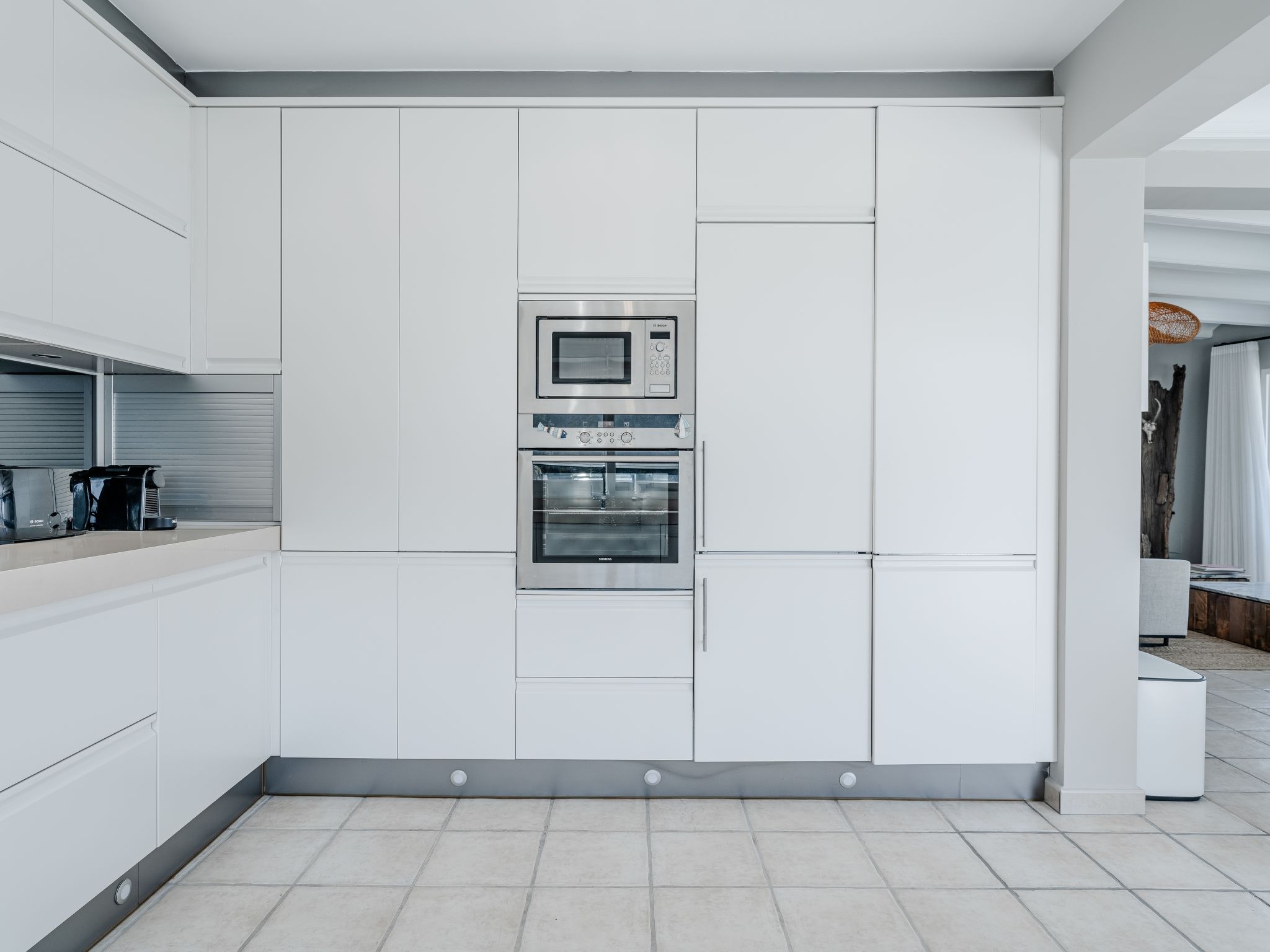 Photo of Tintorera Mar Azul