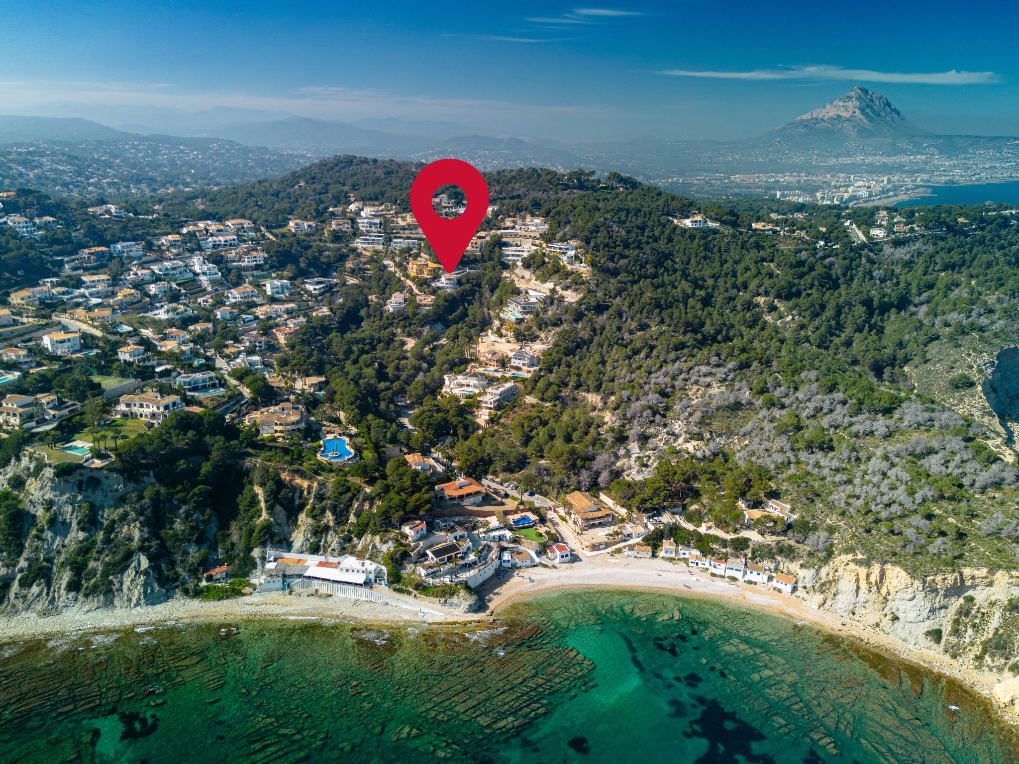 Photo of Tintorera Mar Azul