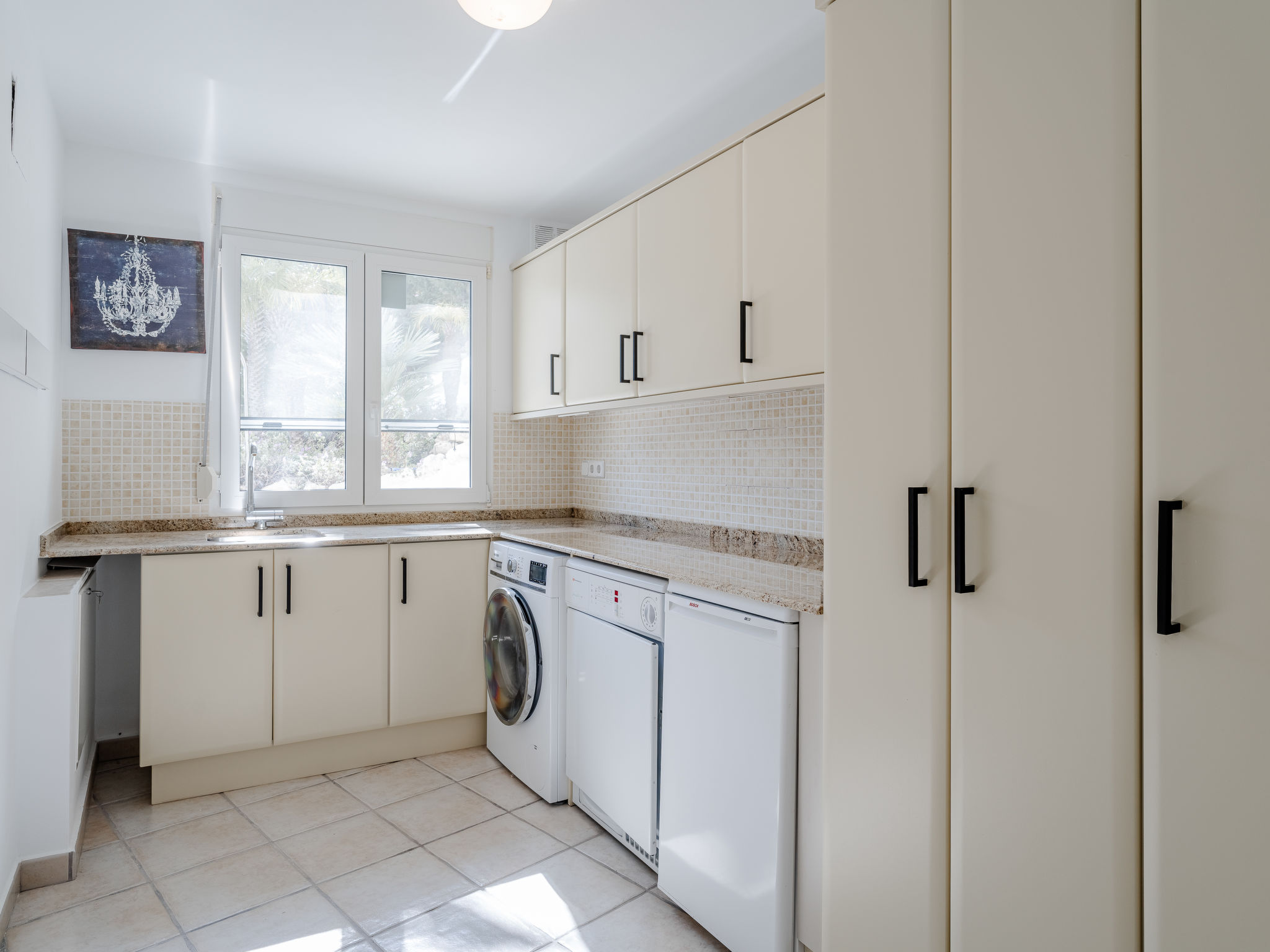 Photo of Tintorera Mar Azul