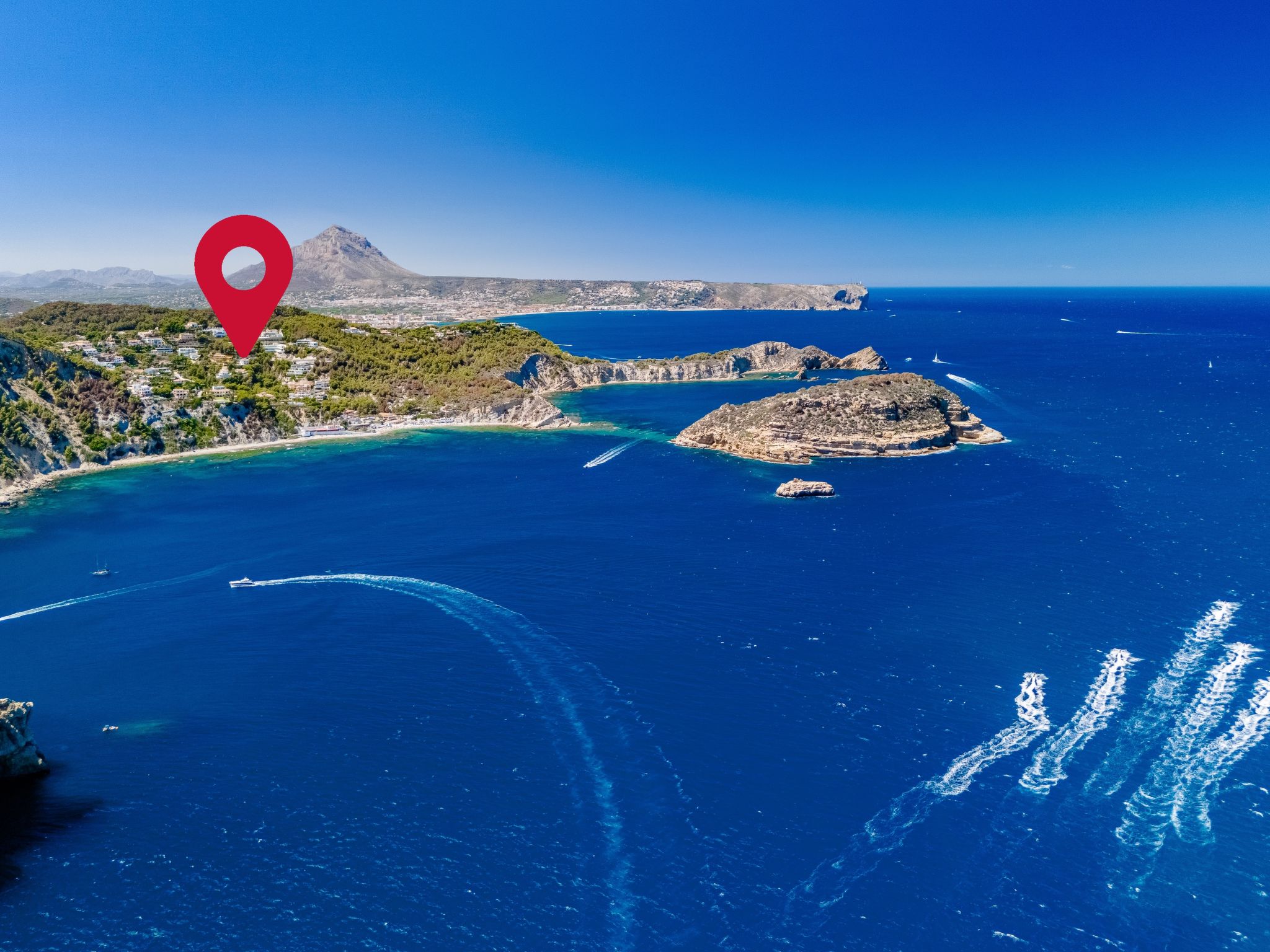 Photo of Tintorera Mar Azul