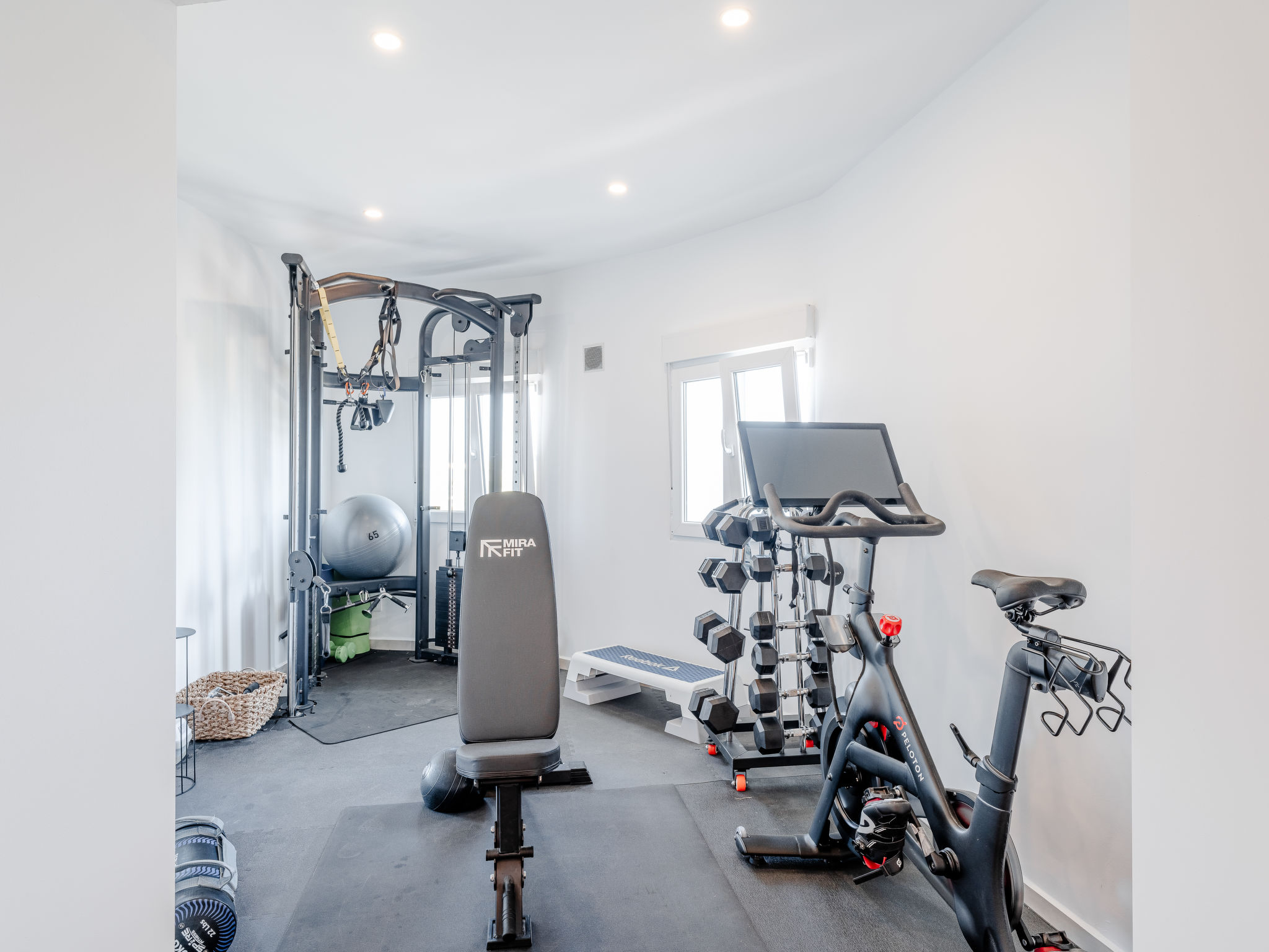 Photo of Tintorera Mar Azul