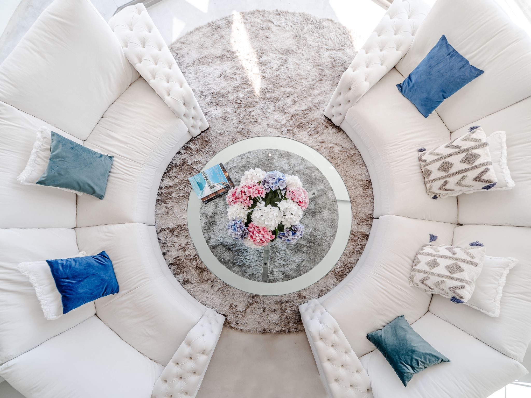 Photo of Tintorera Mar Azul