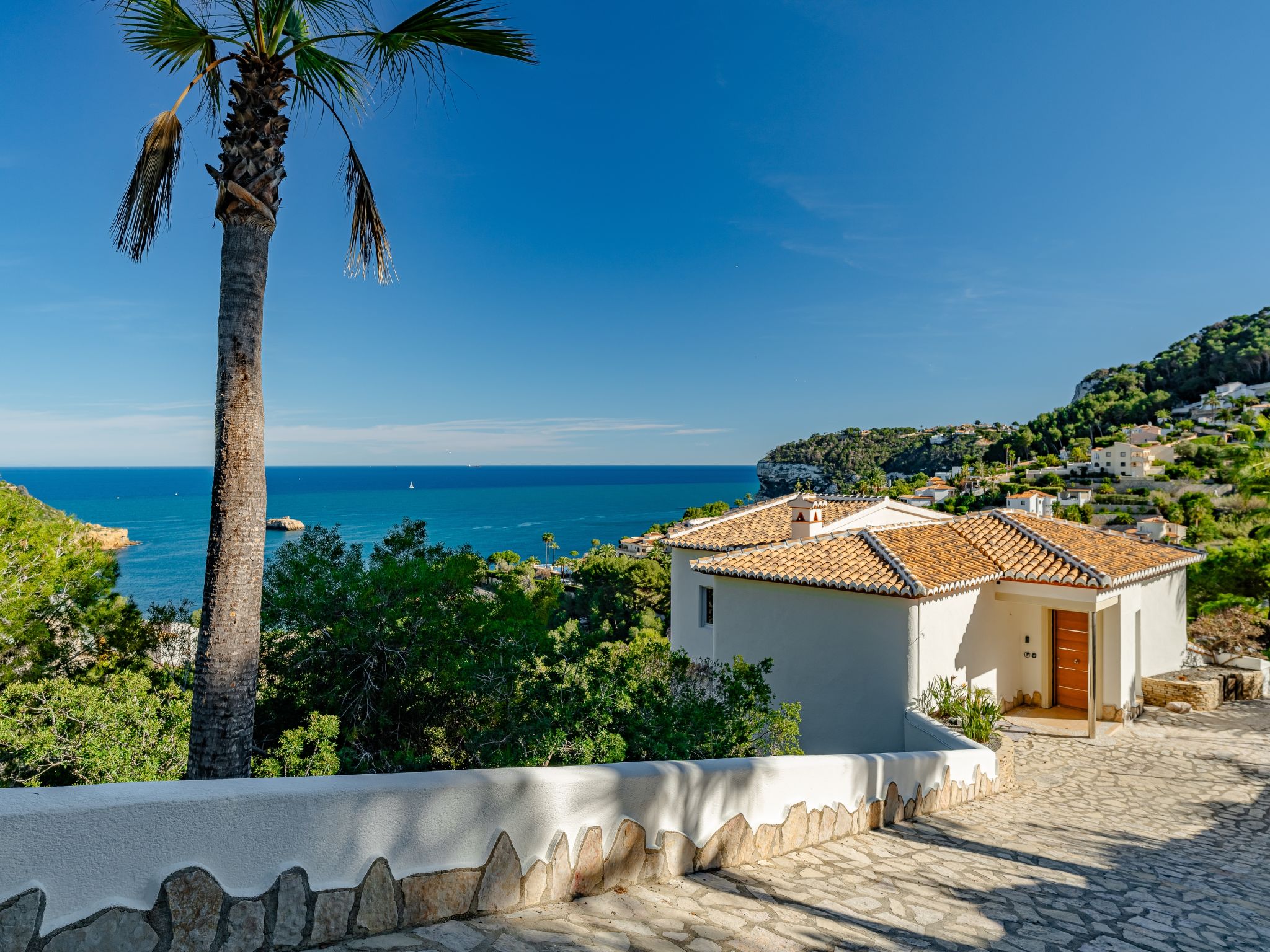 Photo of Tintorera Mar Azul