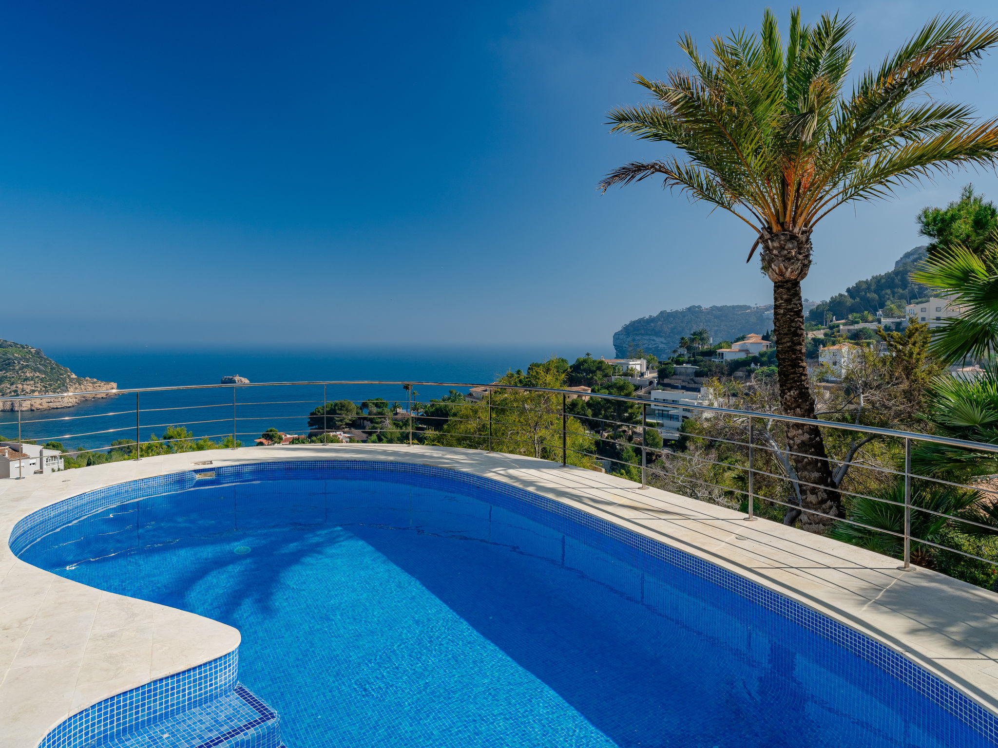 Photo of Tintorera Mar Azul