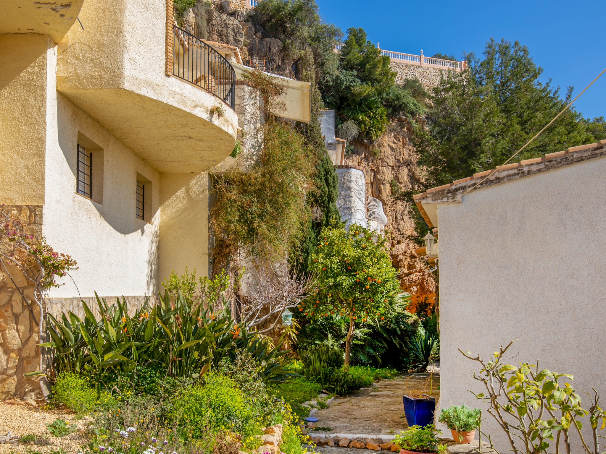 Photo of Vista Halcon