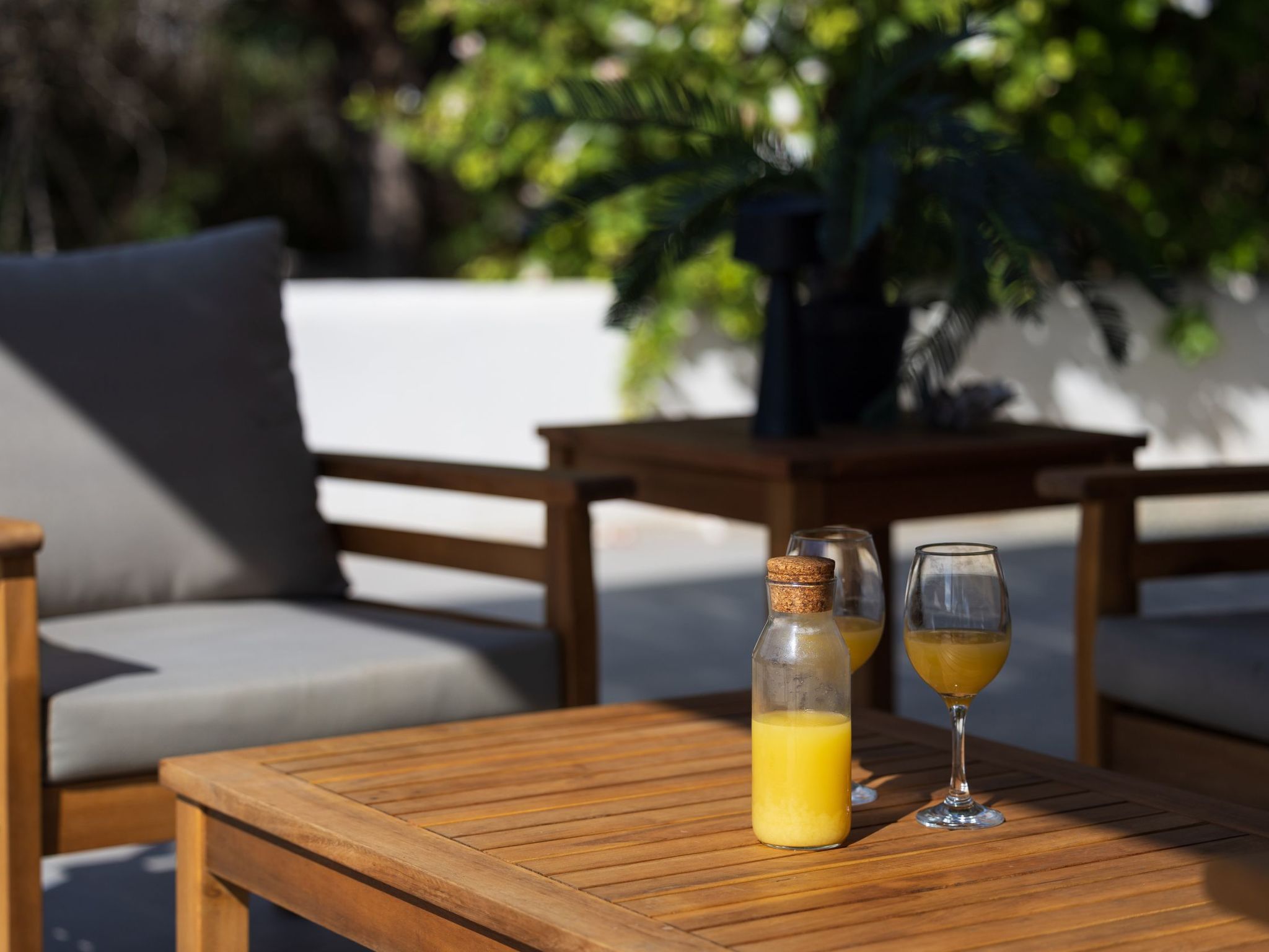 Photo of "Vista Molinos"