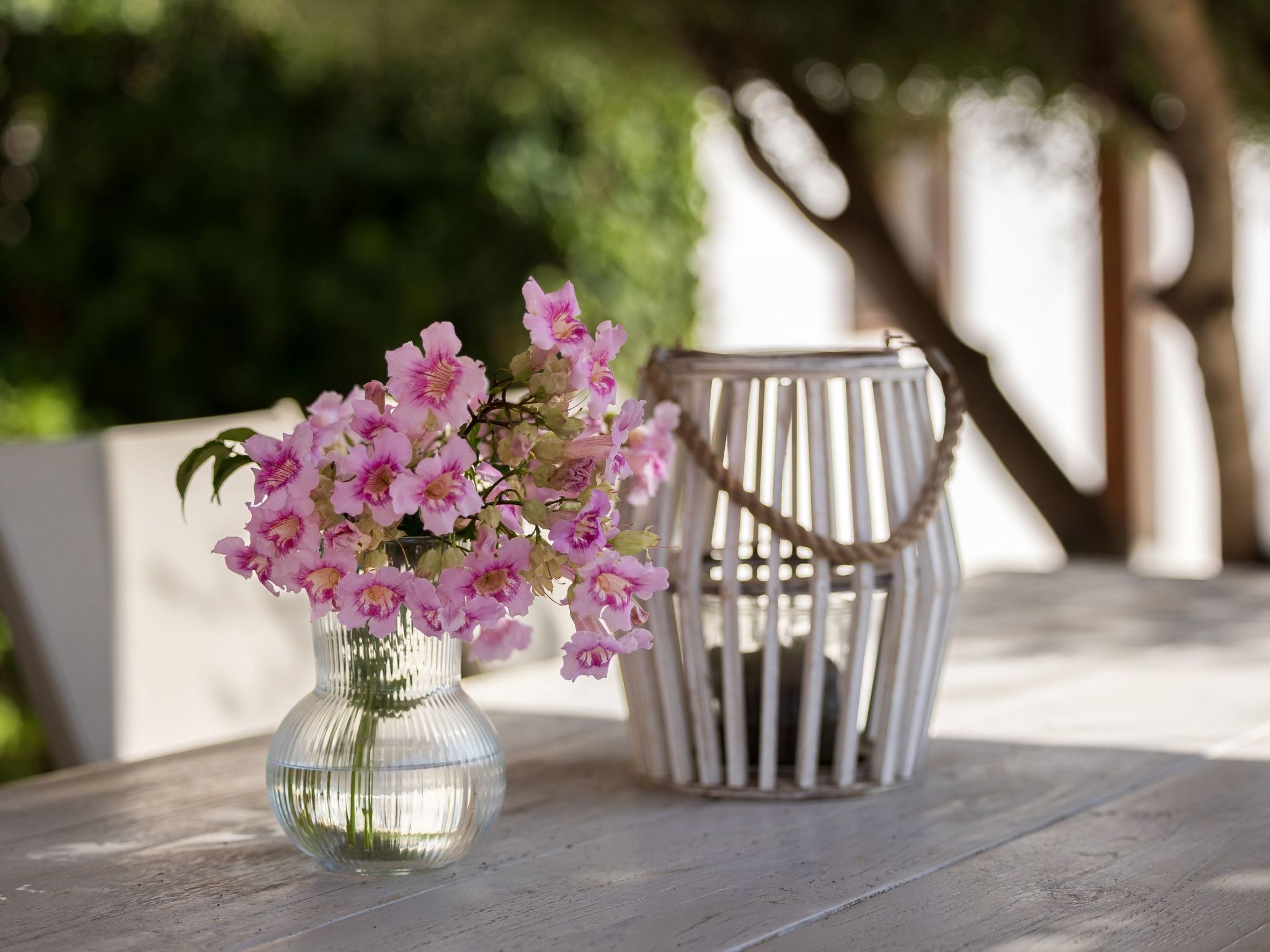 Photo of "Vista Molinos"