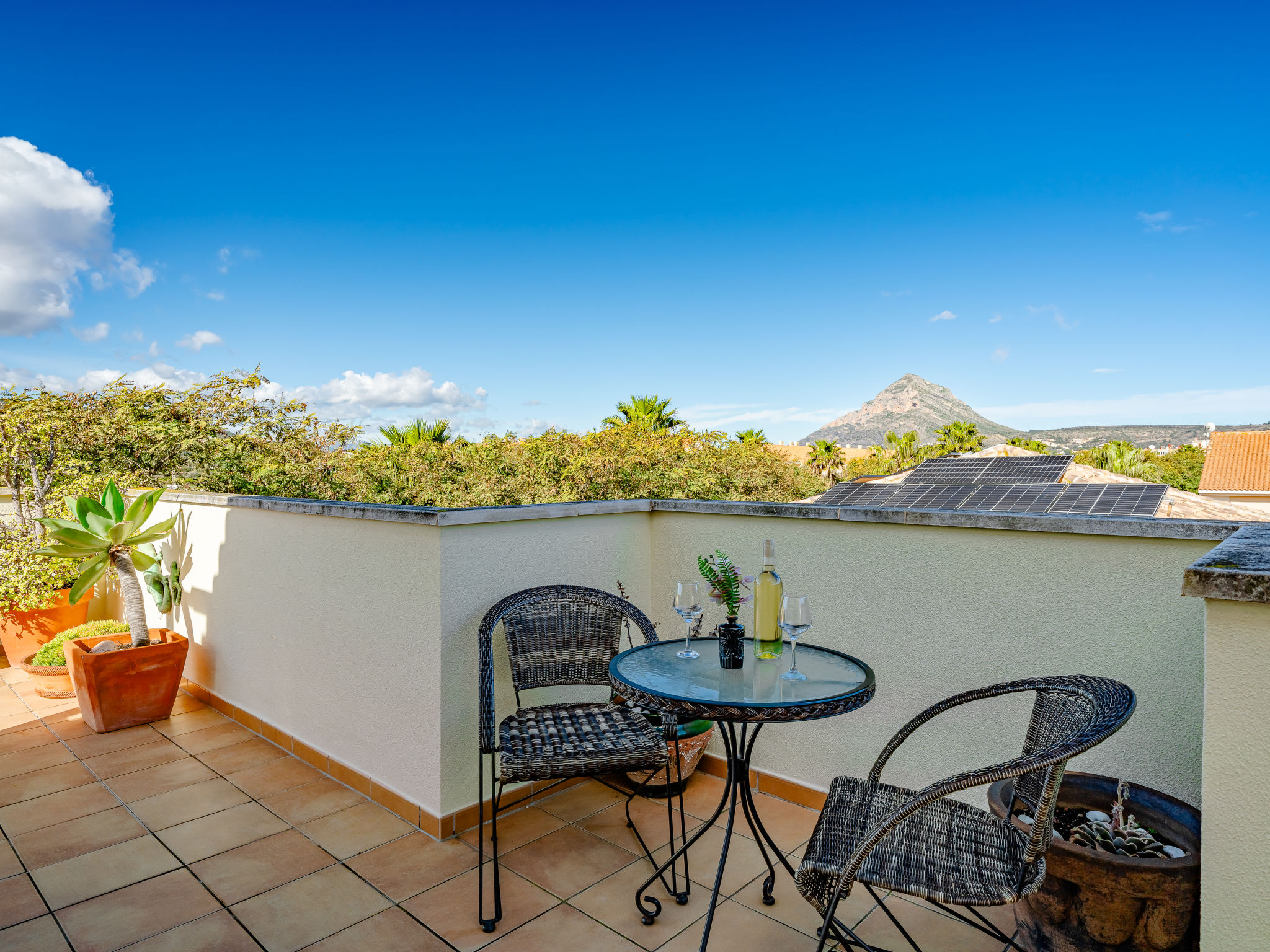 Photo of Jardines del Pla