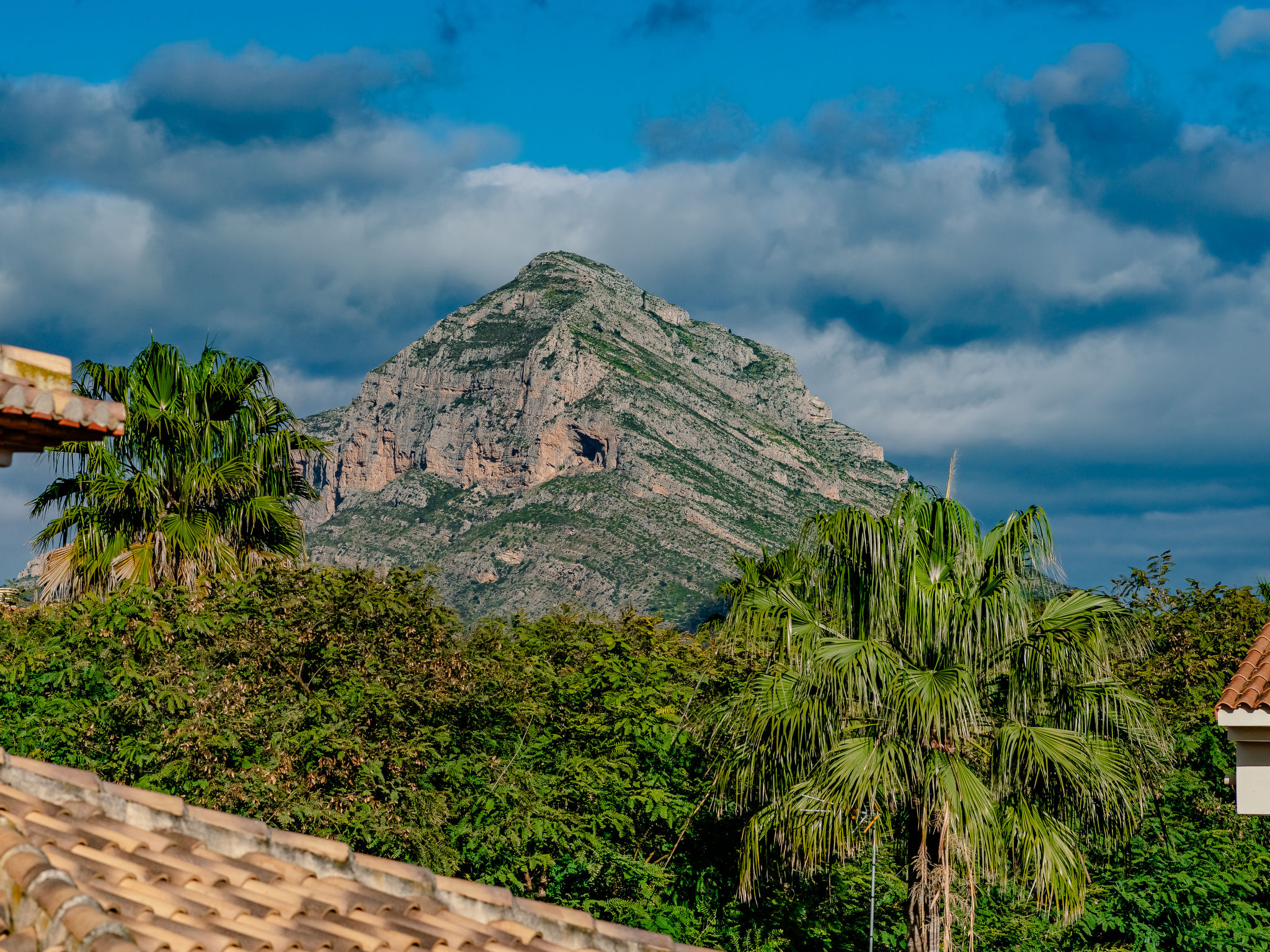 Photo of Jardines del Pla