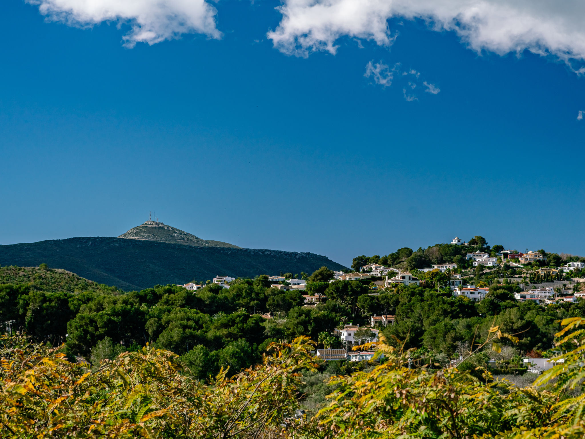 Photo of Jardines del Pla