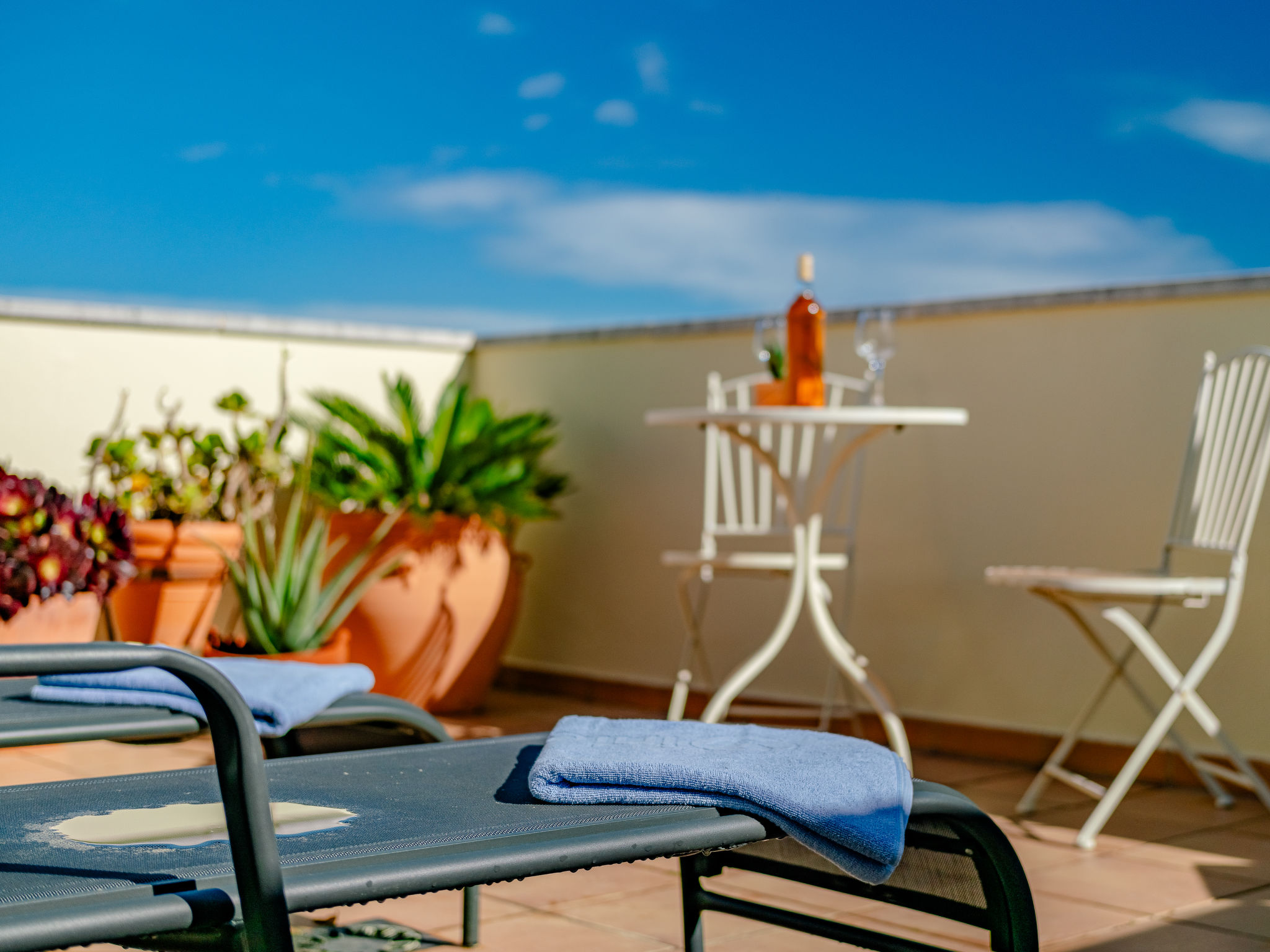 Photo of Jardines del Pla