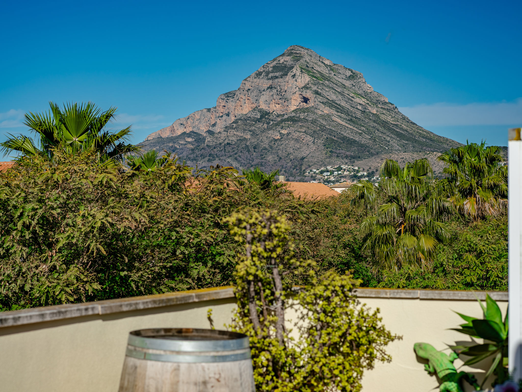 Photo of Jardines del Pla