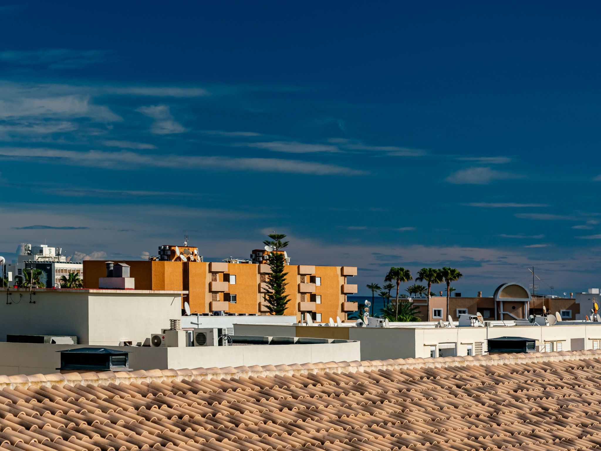 Photo of Jardines del Pla