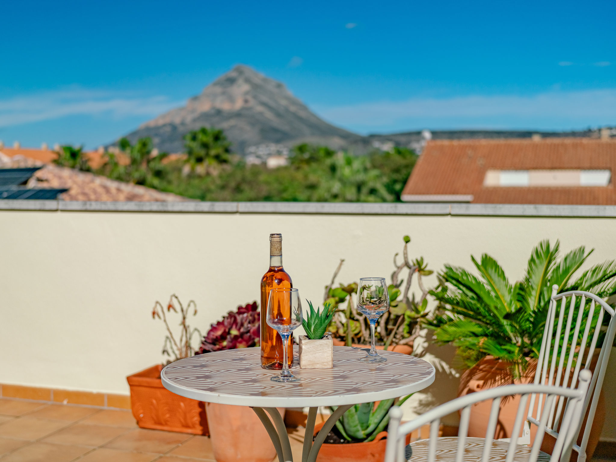 Photo of Jardines del Pla