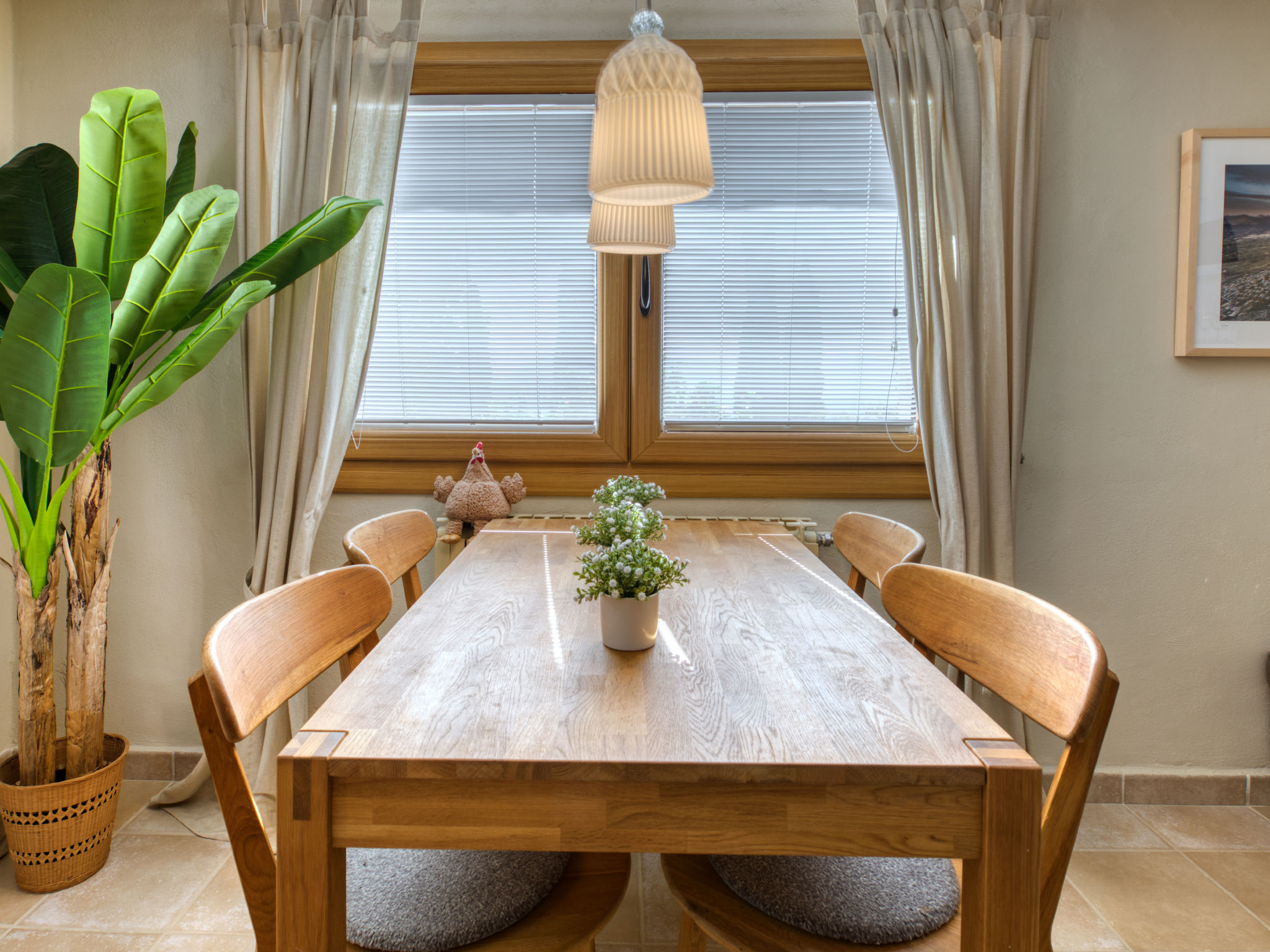 Photo of Petite Fleur