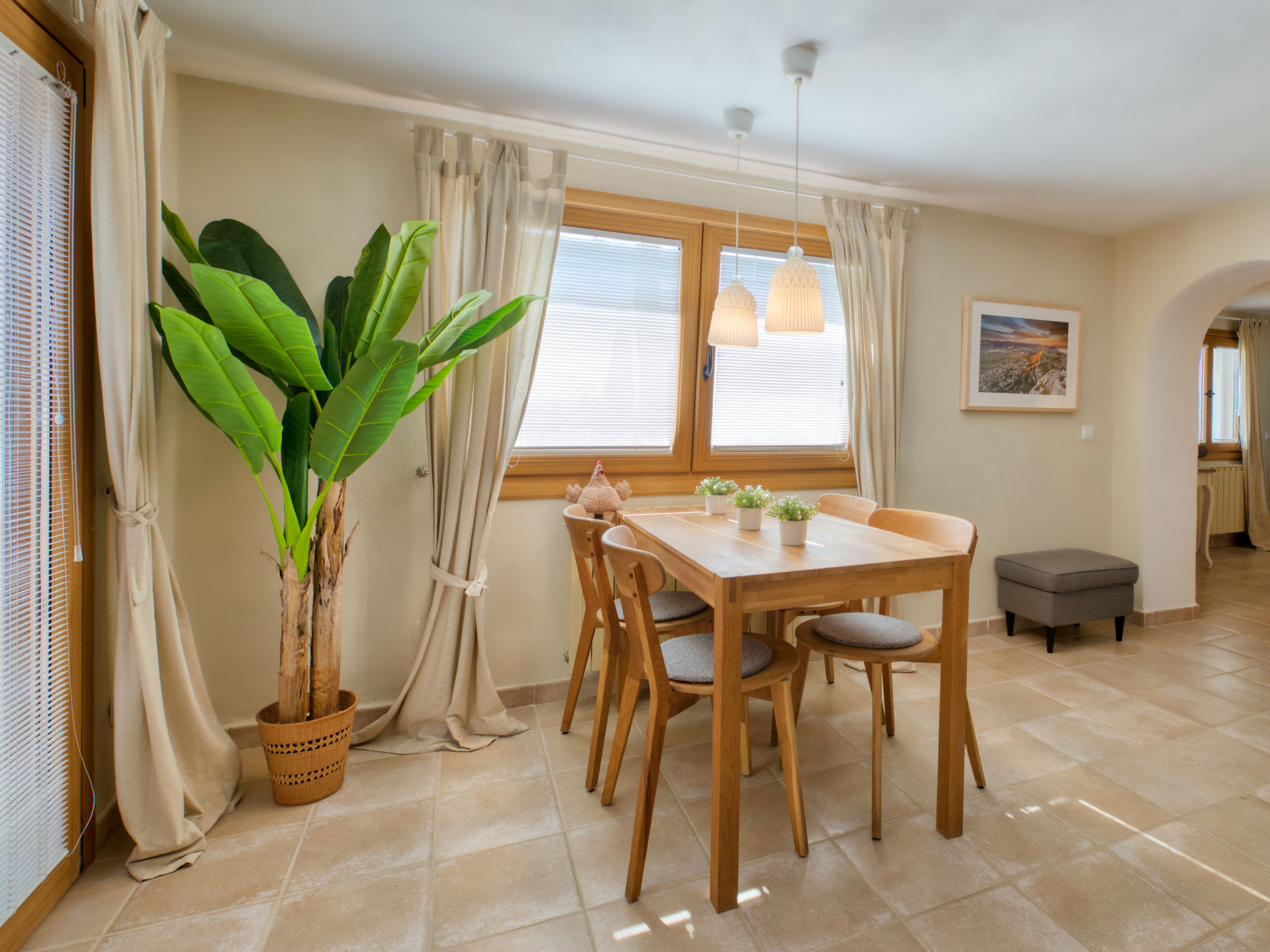 Photo of Petite Fleur