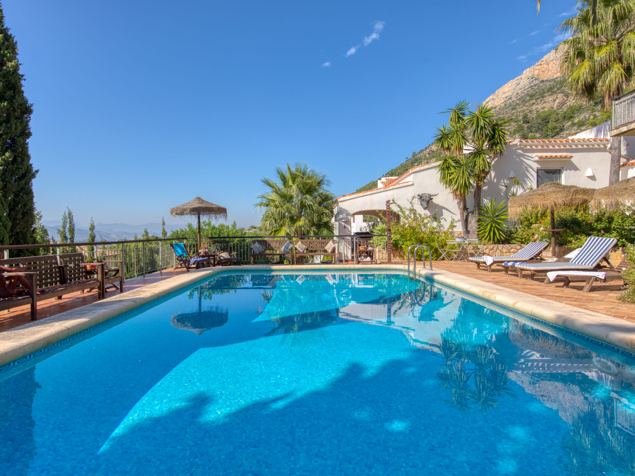 Photo of Petite Fleur