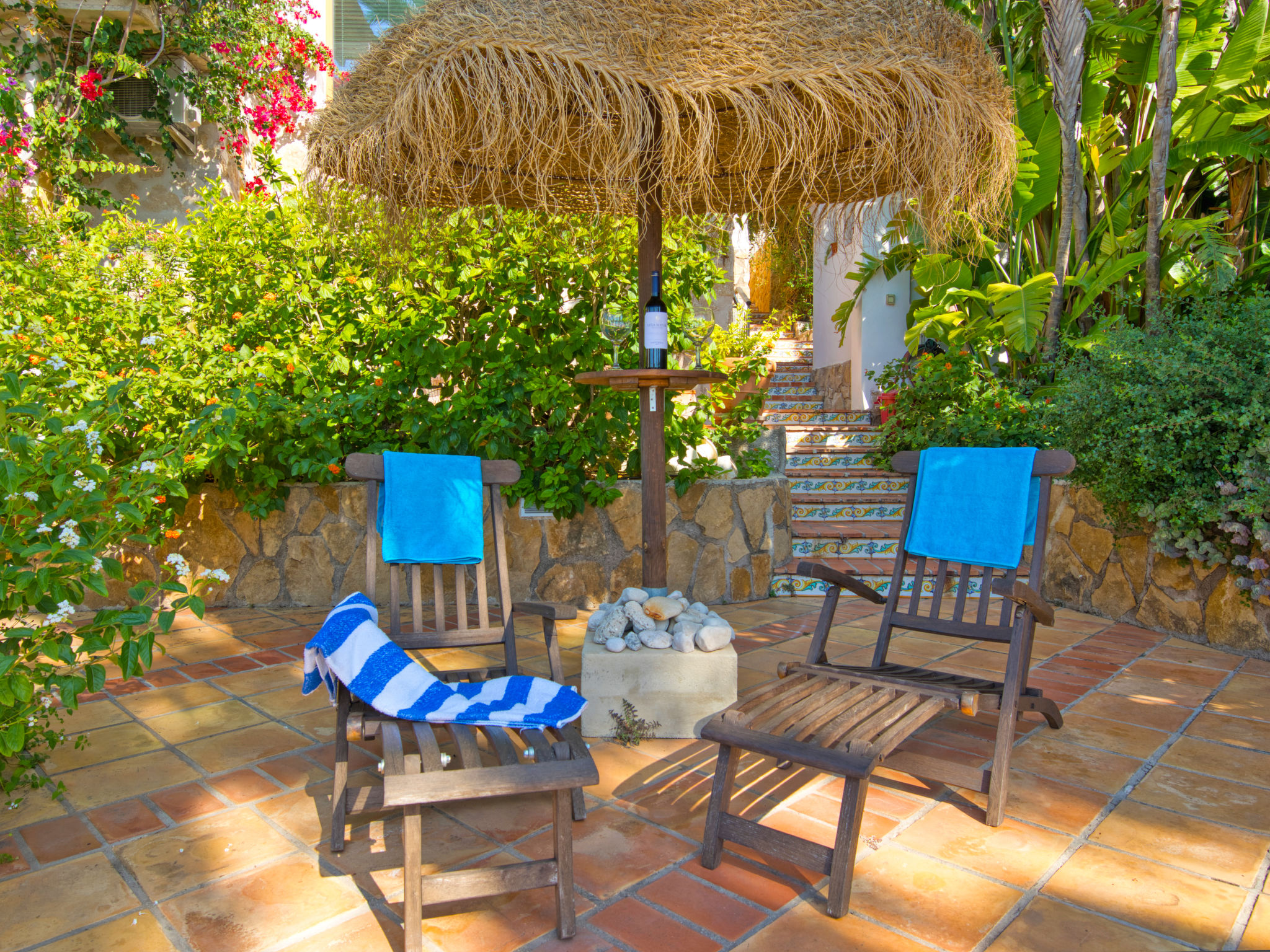 Photo of Petite Fleur