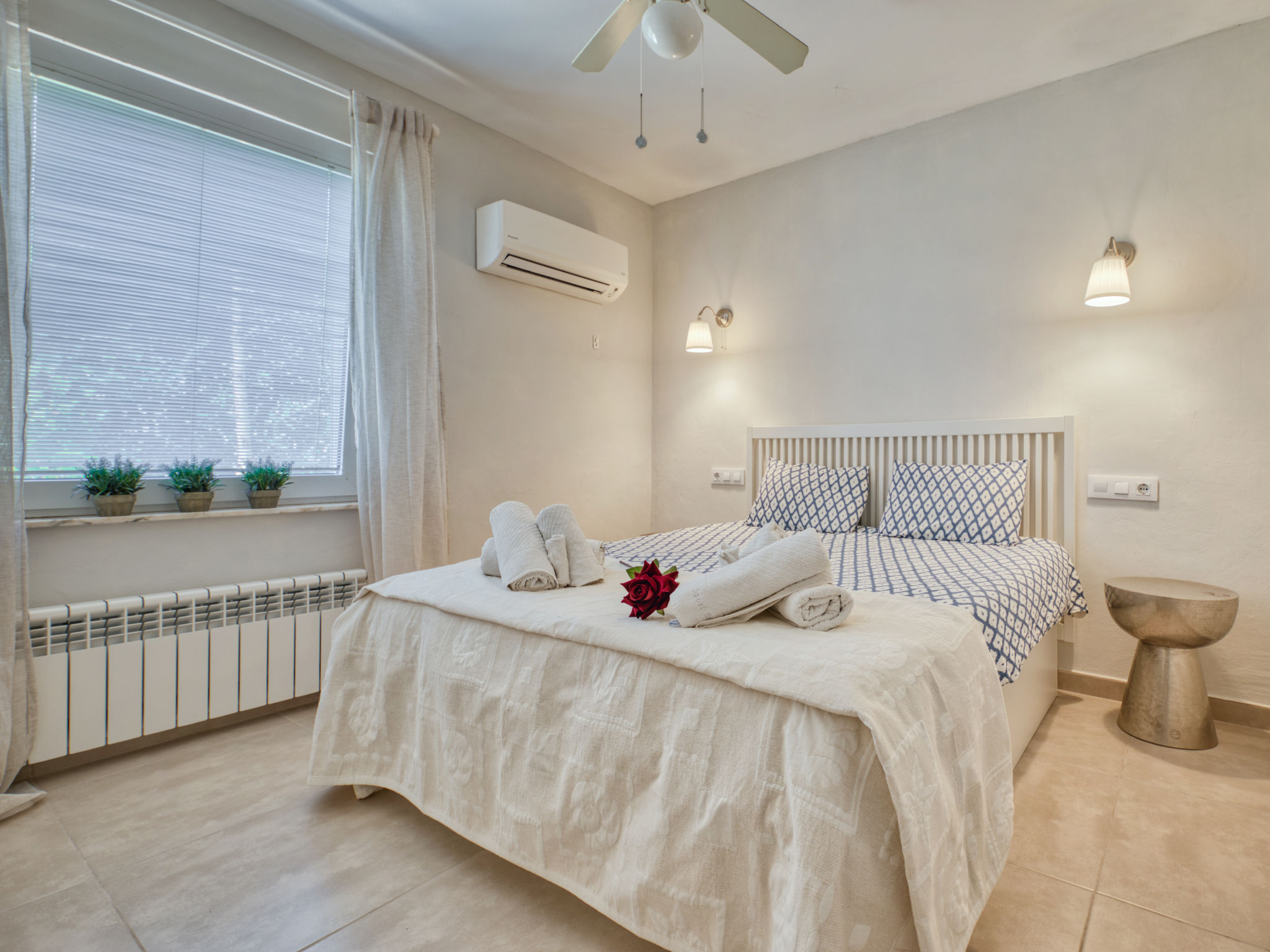 Photo of Petite Fleur