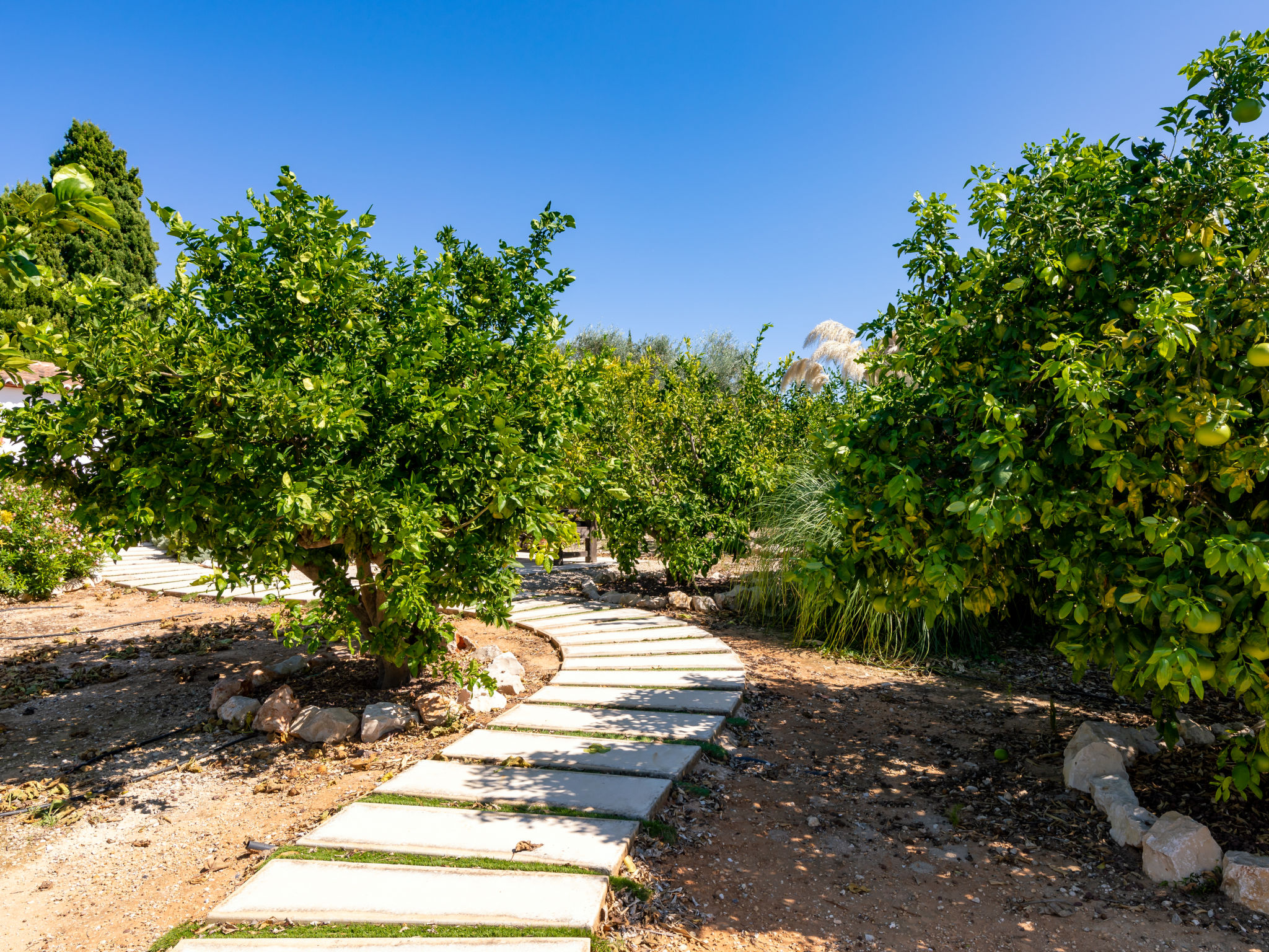 Villa Finca Labranza - Inside