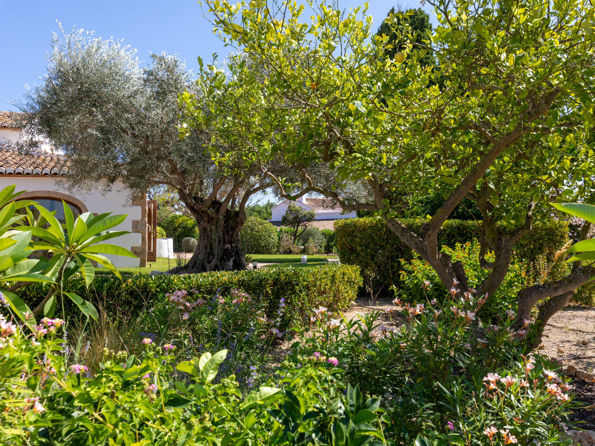 Villa Finca Labranza - Inside