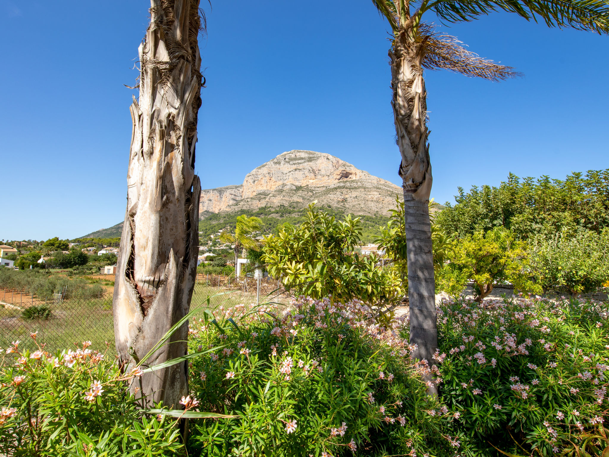 Villa Finca Labranza - Inside