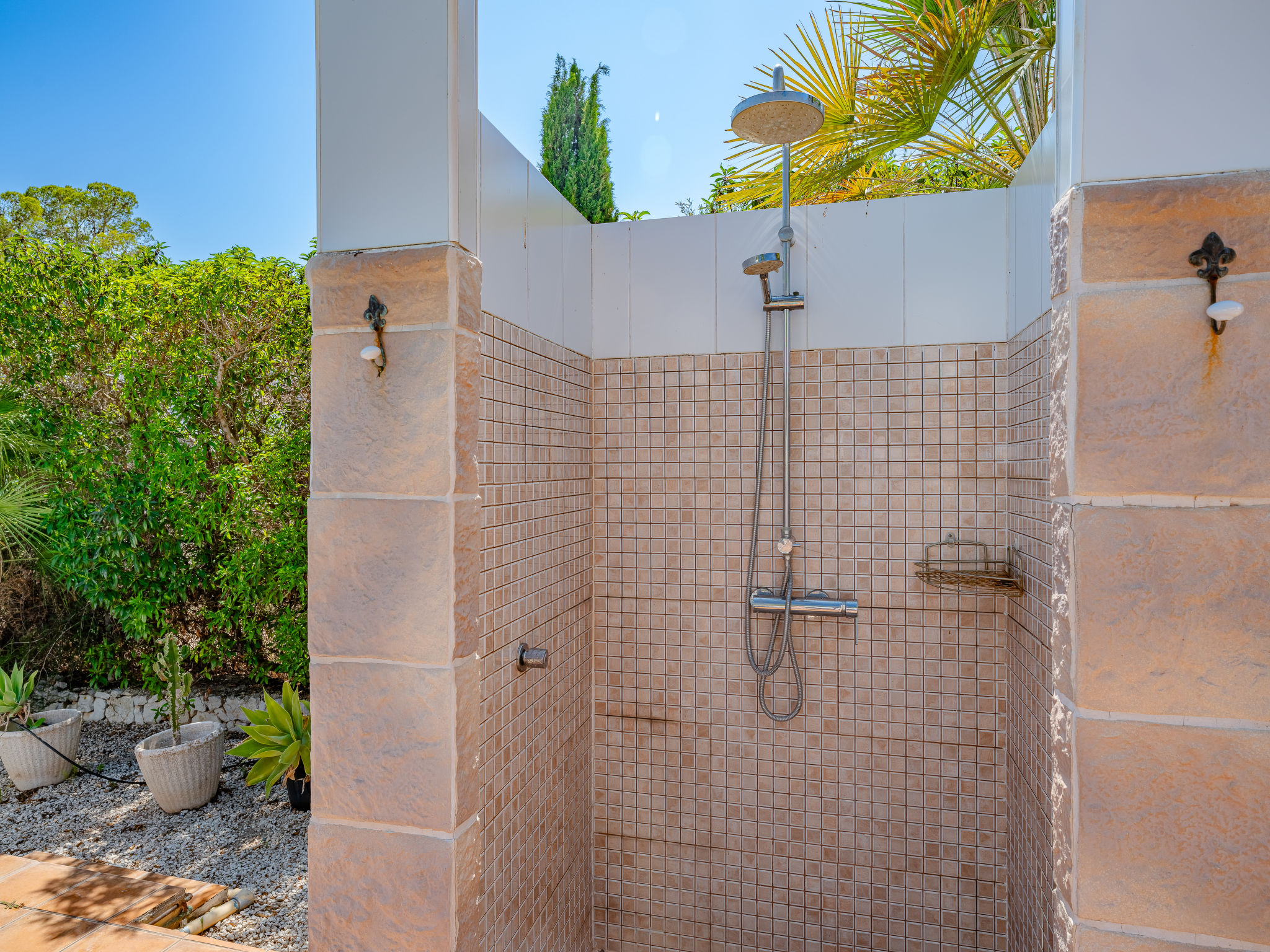 Photo of Baloma Plus