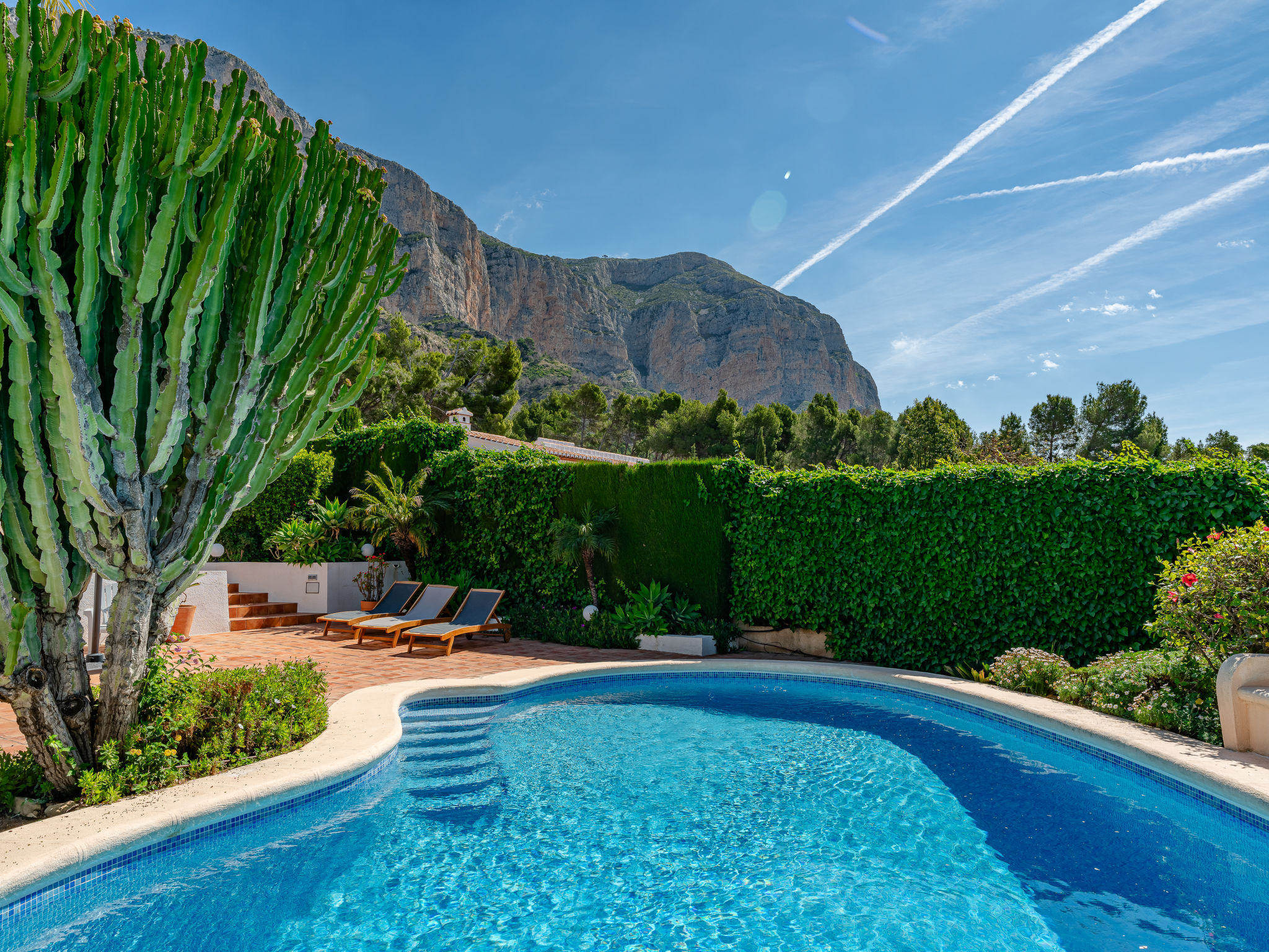 Villa Terra Montgo