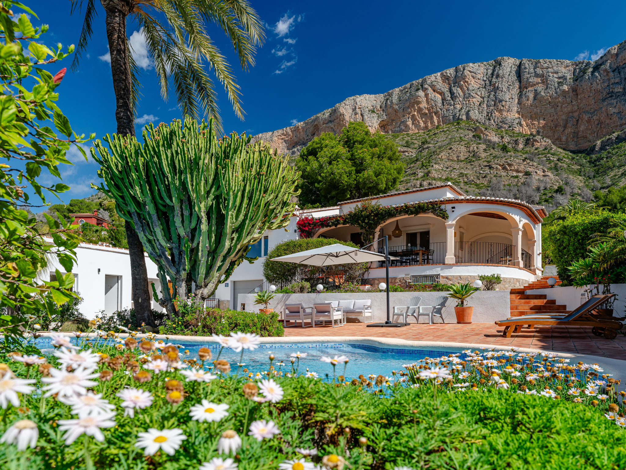 Villa Terra Montgo