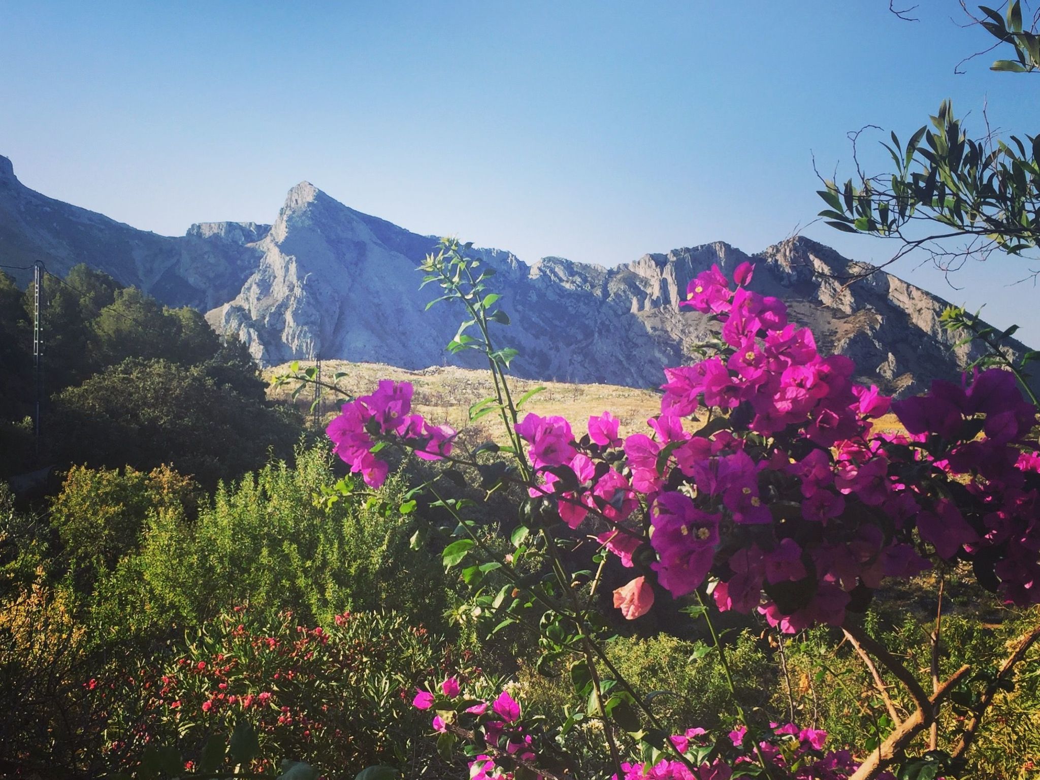 Leerstehendes Haus "Can Elisa"-Image-tags.info