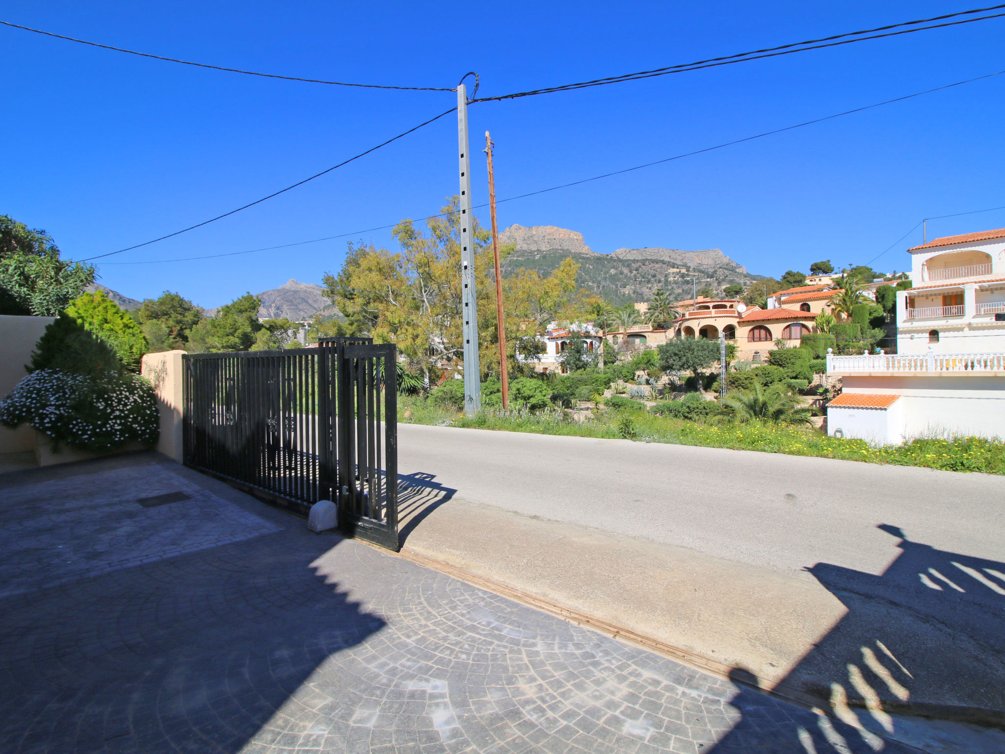 Photo of Canuta Baja