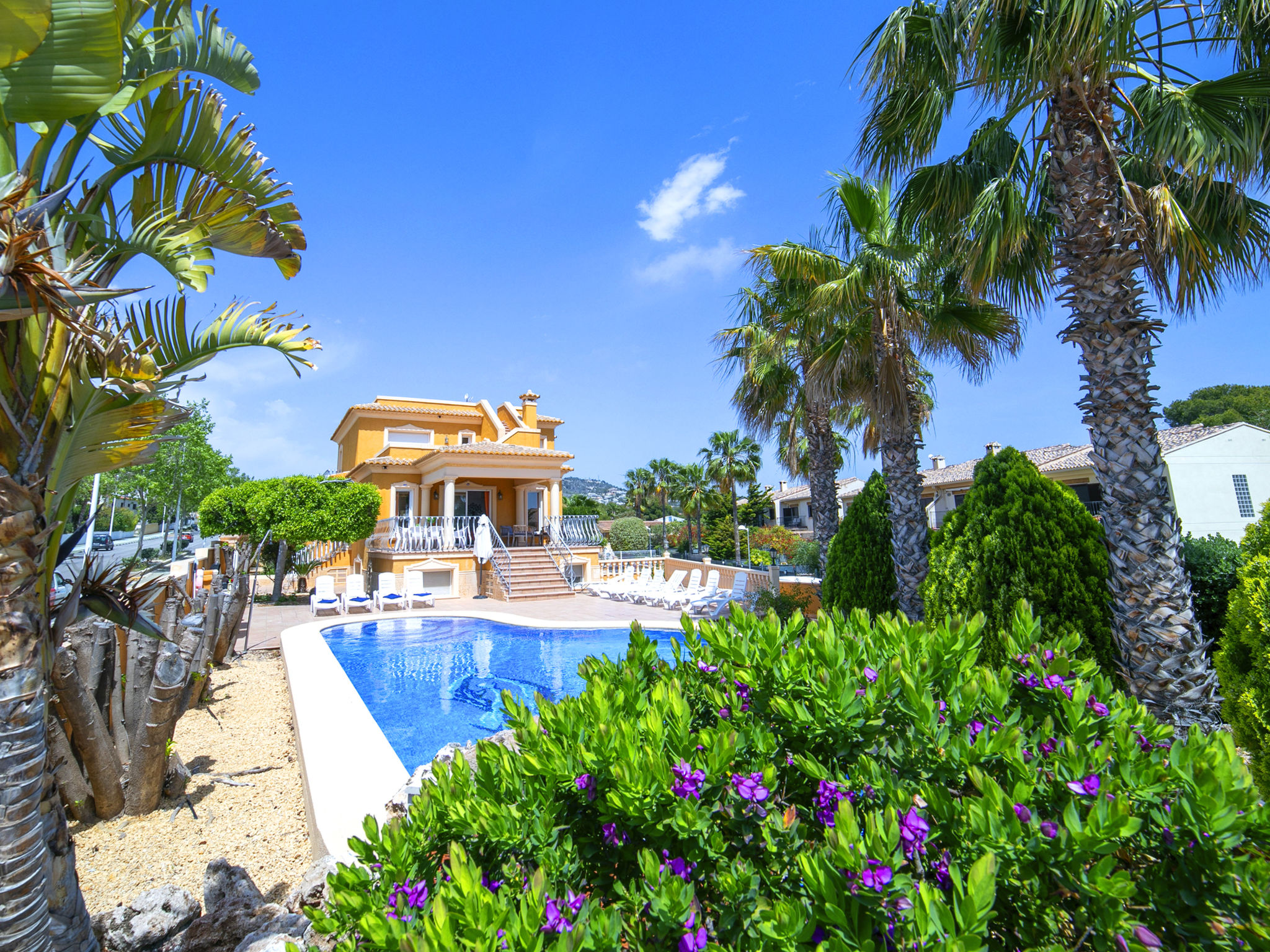 Photo of Villa Delfín