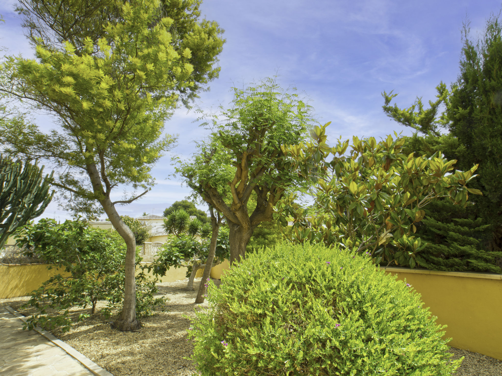 Photo of Villa Acuario