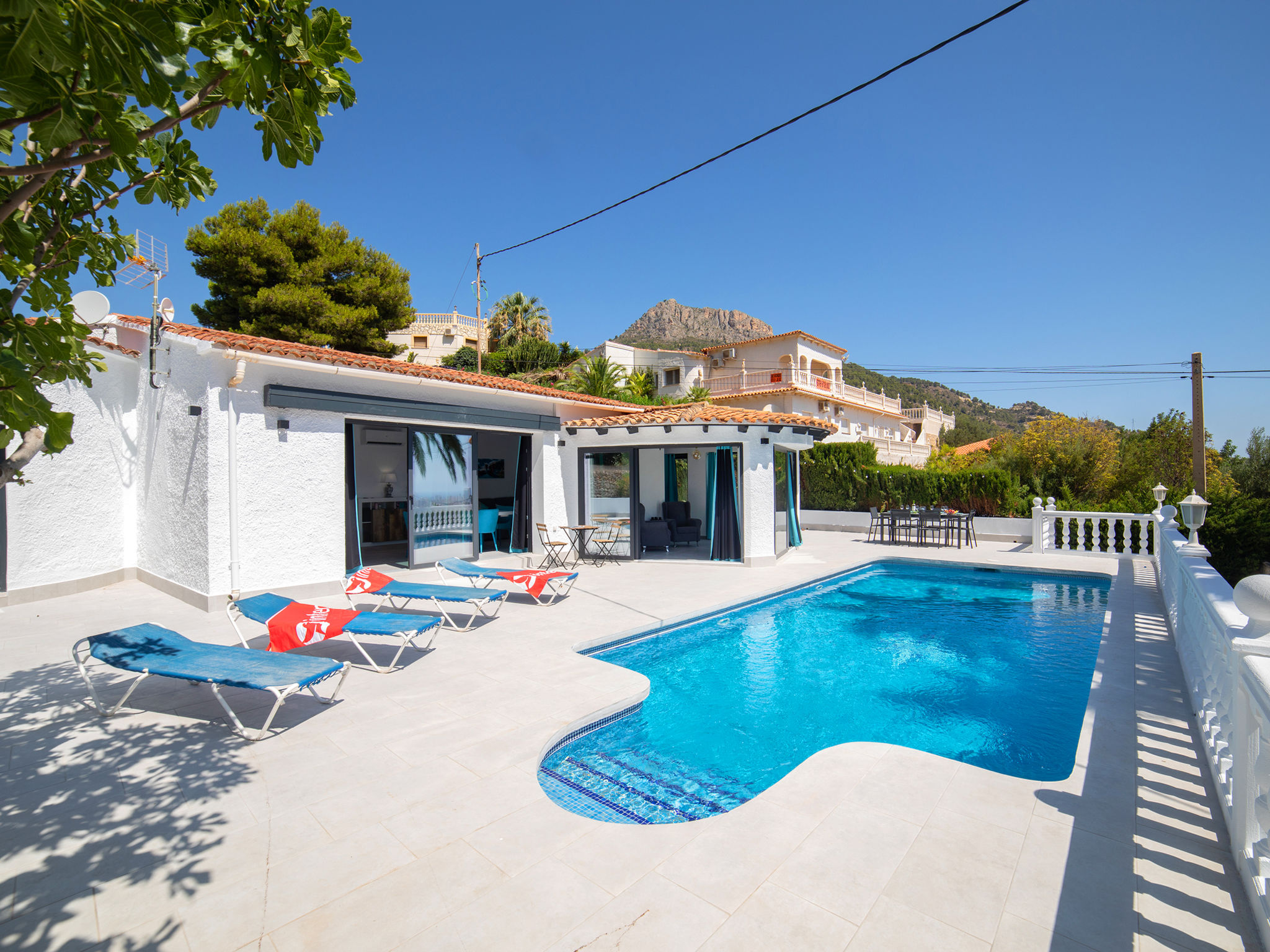 Photo of Estrella Azul