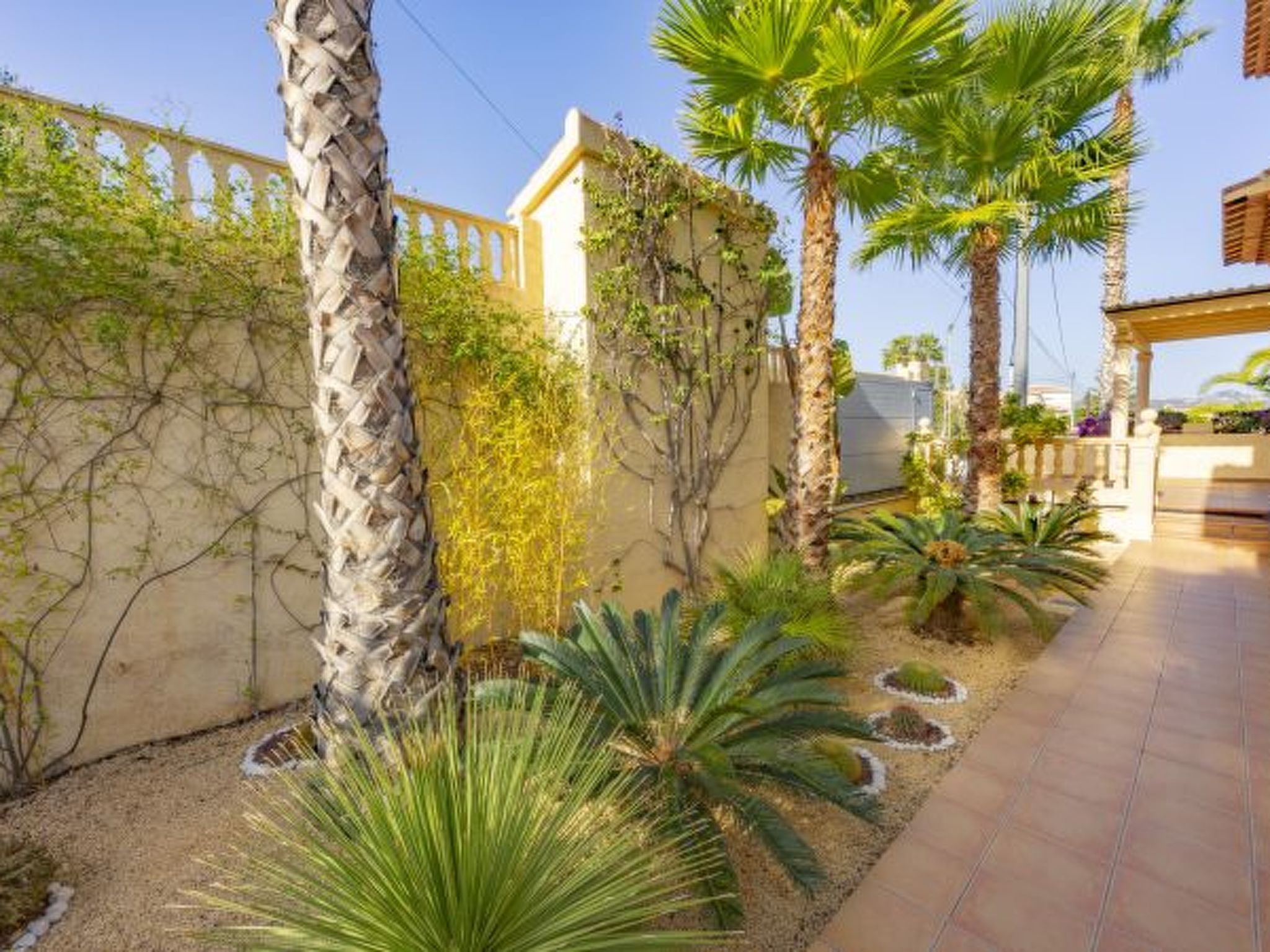 Photo of Villa Paz - Plusholidays