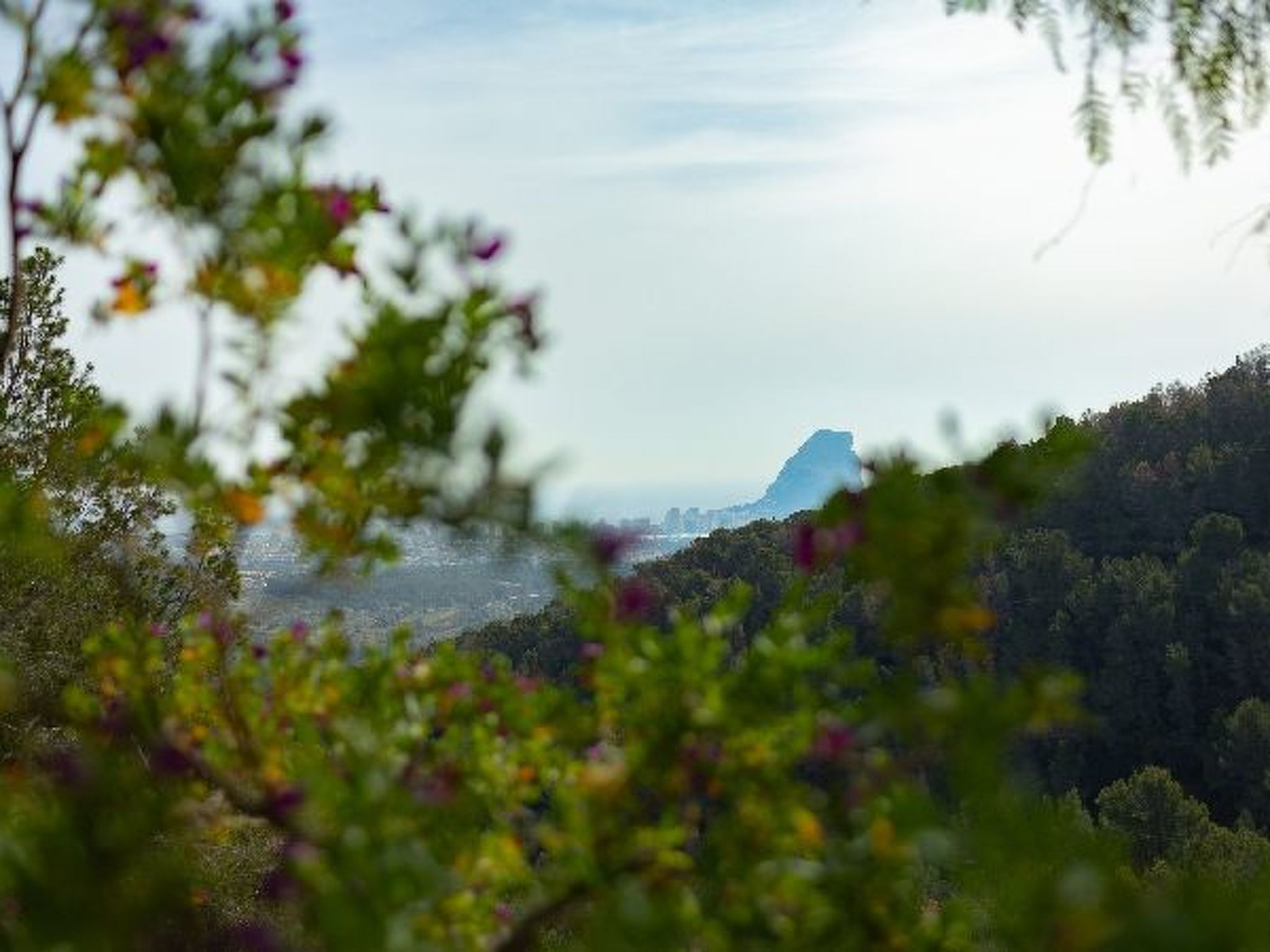 Photo of Villa Verena - Plusholidays