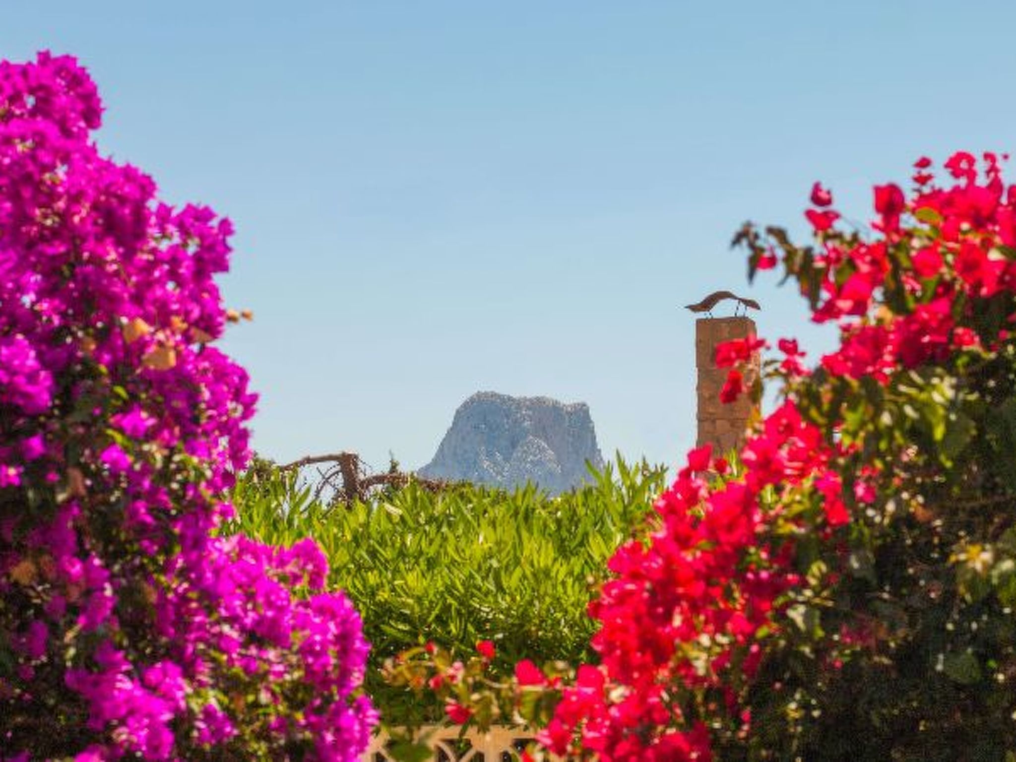 Photo of Villa Erik - PlusHolidays