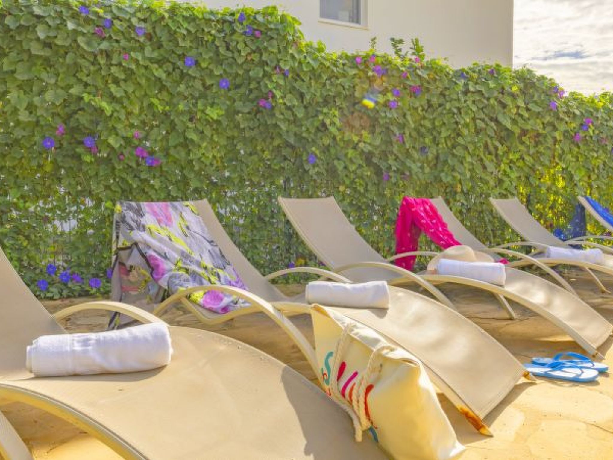 Photo of Villa Carola - PlusHolidays