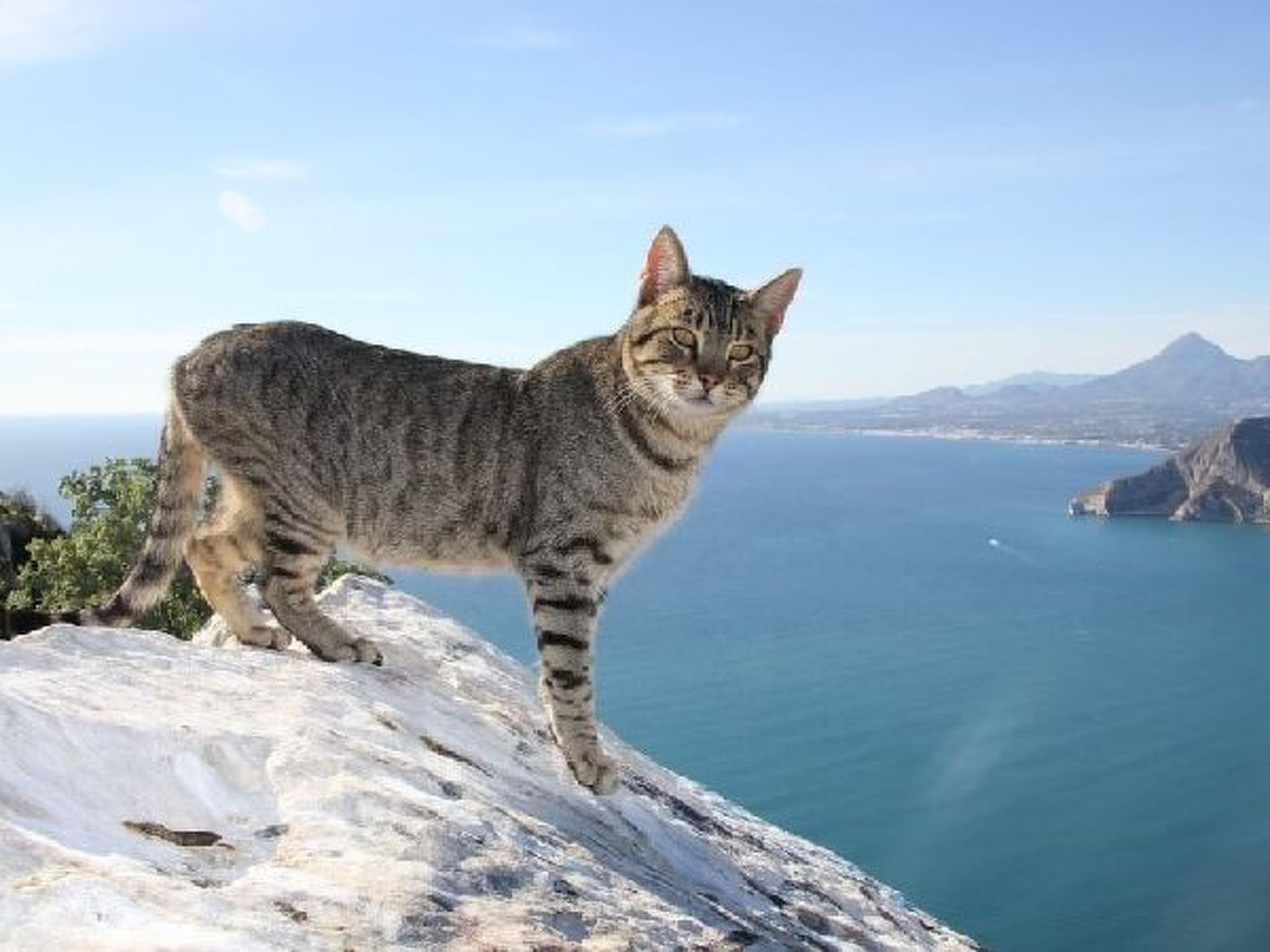 Photo of Villa Sanlio - PlusHolidays